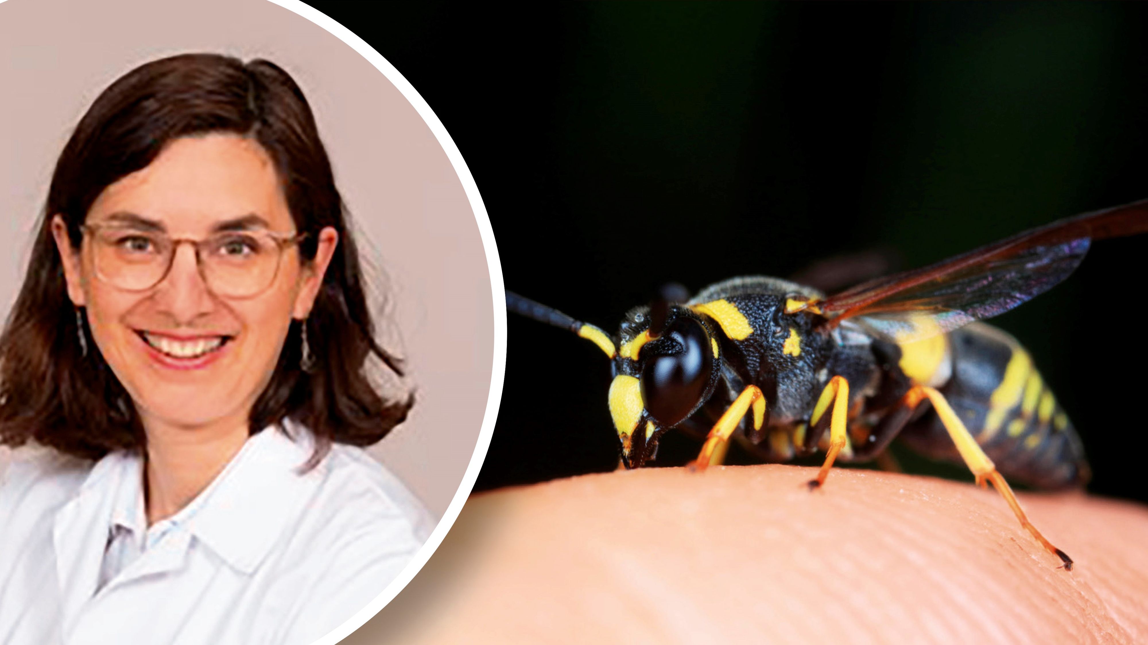 Fachärztin Dr. Sabine Altrichter erklärte <em>