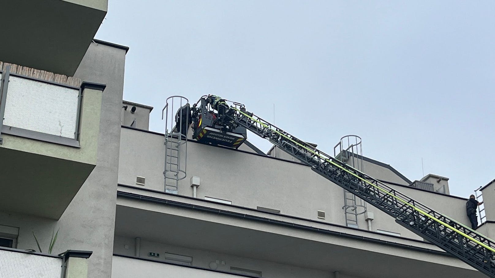 Filmreif! Feuerwehr muss Einbrecher von Dach retten