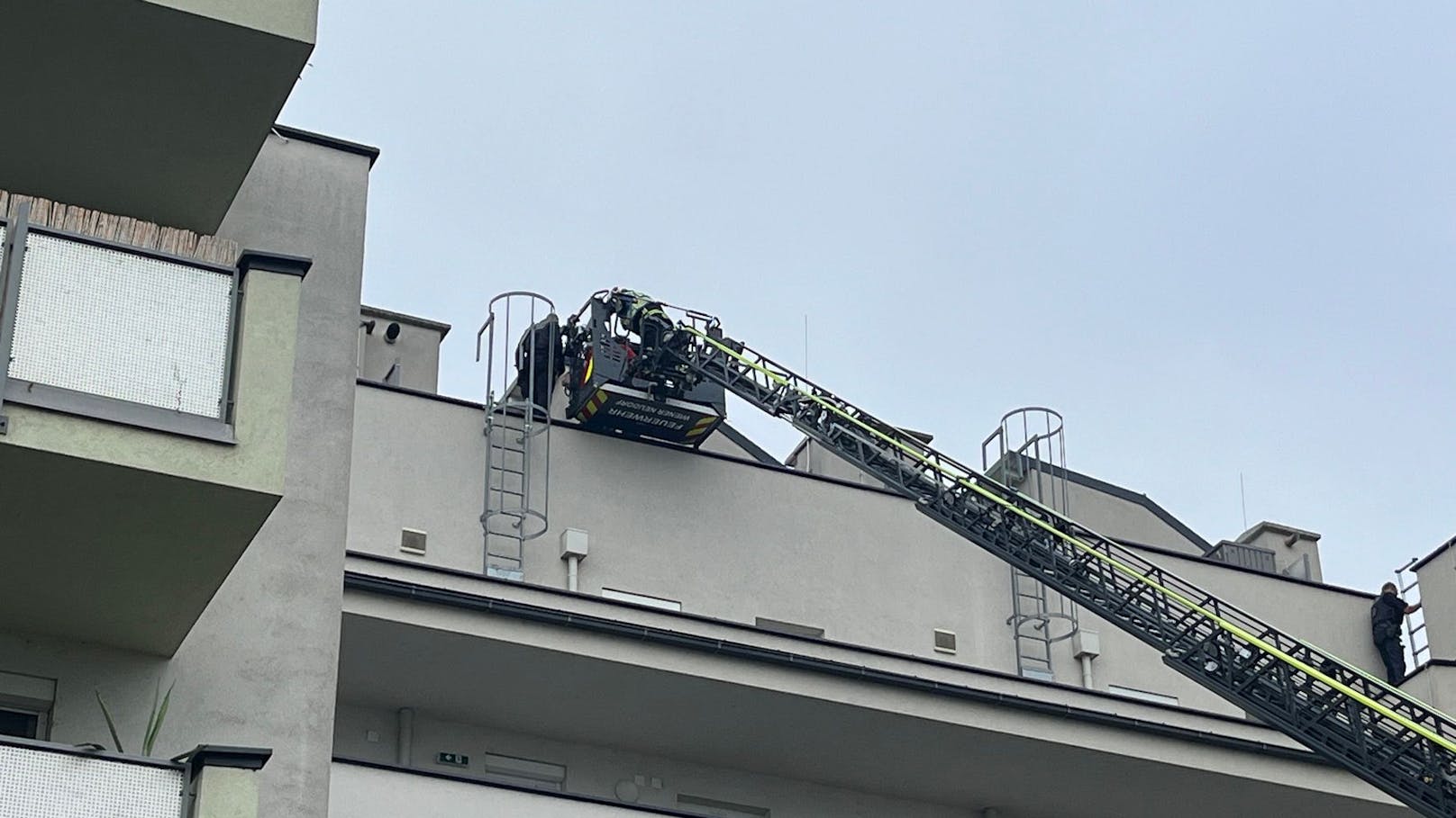 Filmreif! Feuerwehr muss Einbrecher von Dach retten