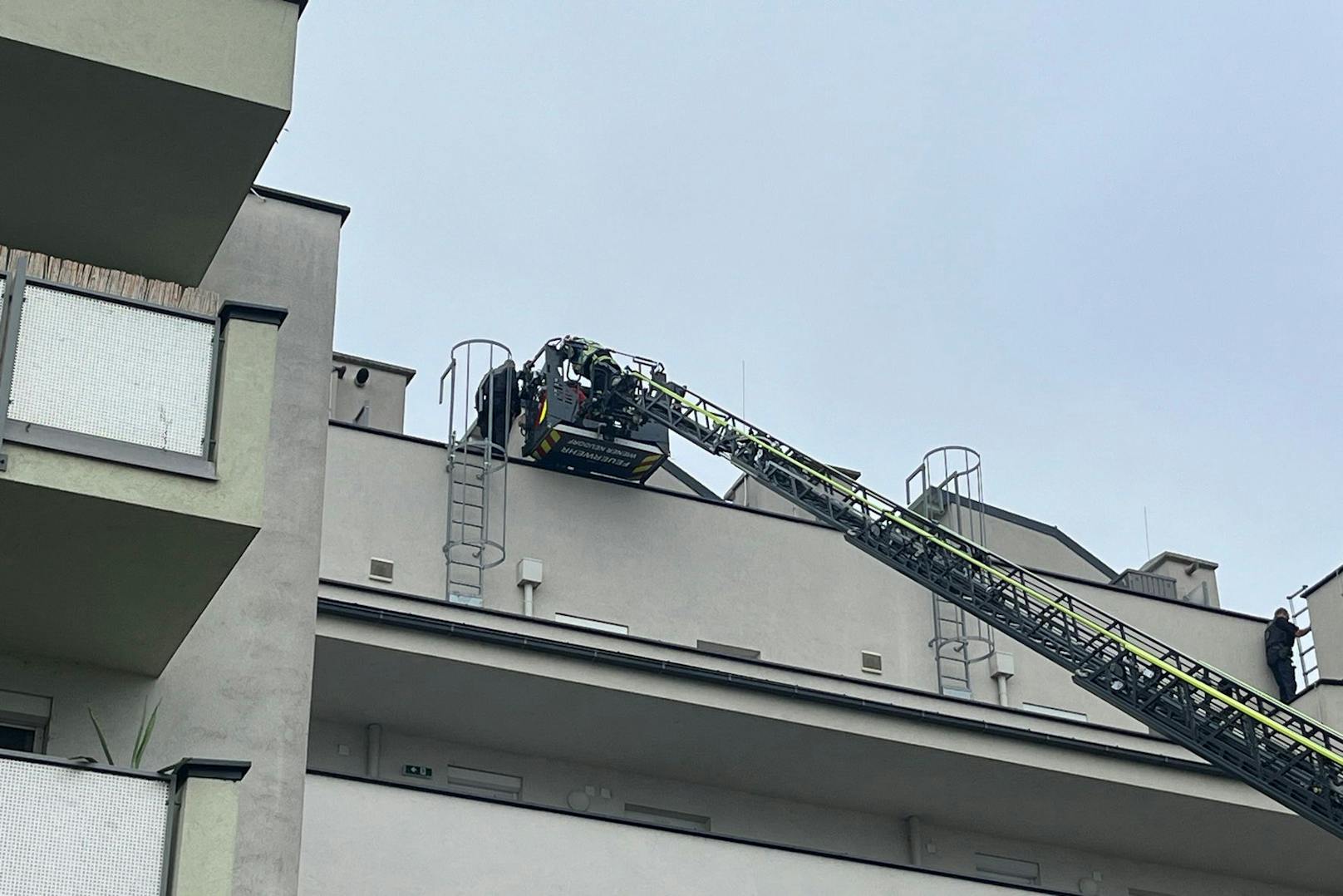 Die Feuerwehr musste einen leicht verletzten Einbrecher vom Dach retten.