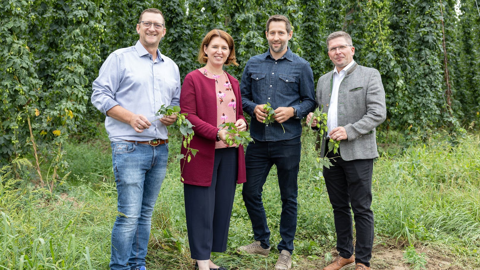 Unterhielten sich über den Hopfenanbau: Stefan Hofer (Obmann der Hopfenbaugenossenschaft), LR Langer-Weninger, Manuel Starlinger (Geschäftsführer der Genossenschaft), Martin Mairhofer (Bezirksobmann Bauernbund Rohrbach)