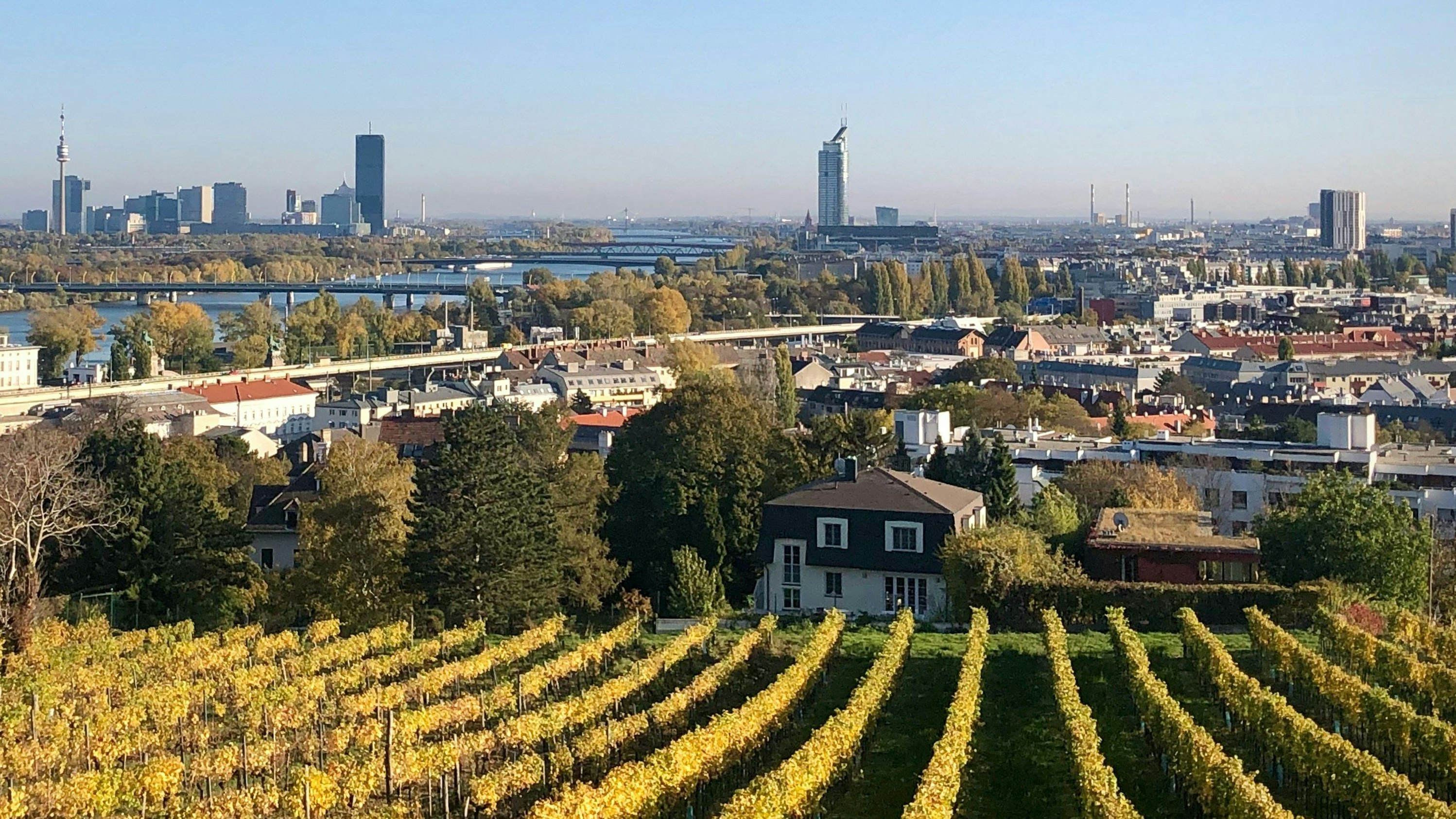 Heute.at - Bande raubt Wienerin in Villa aus und flüchtet mit Mini