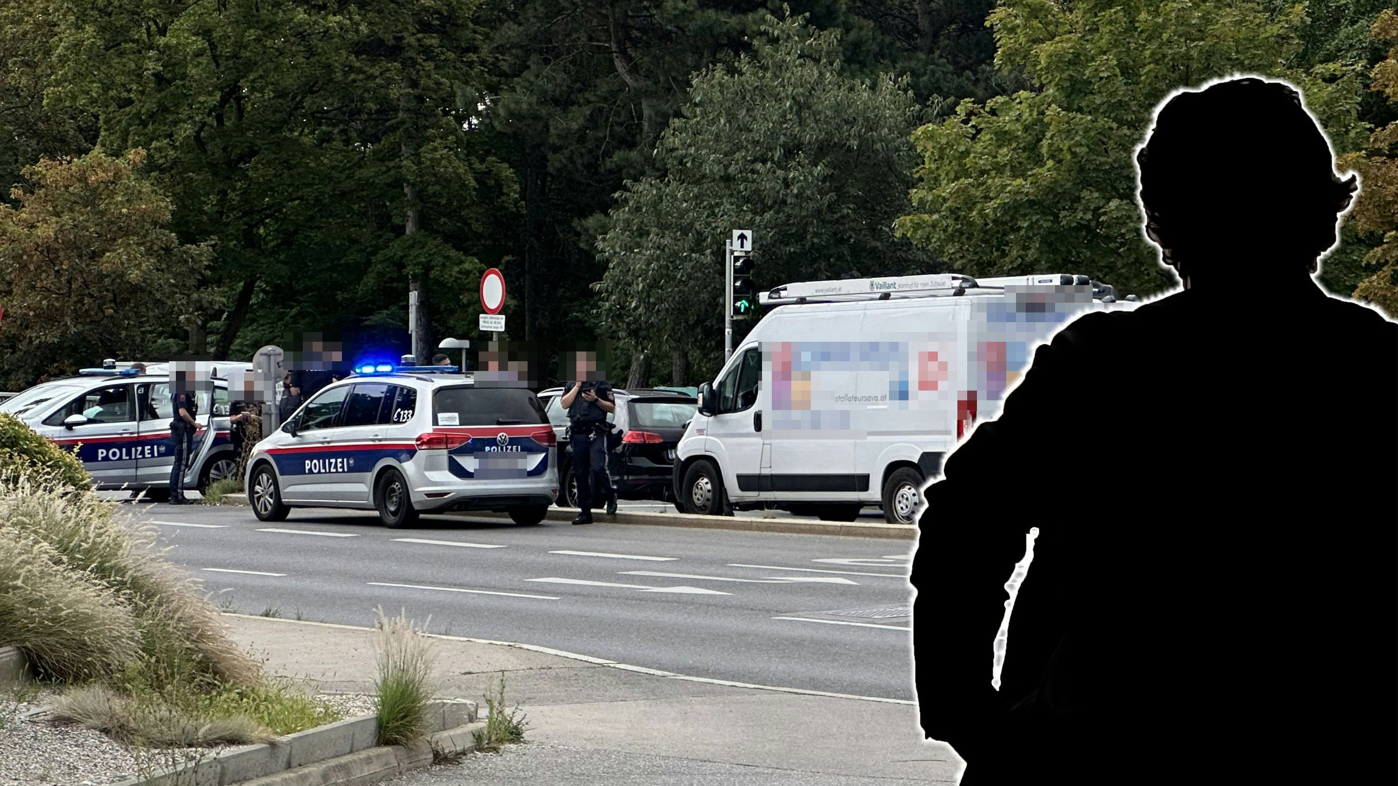 Heute.at - Teenie baut Crash! Vater will ihn ins Ausland bringen