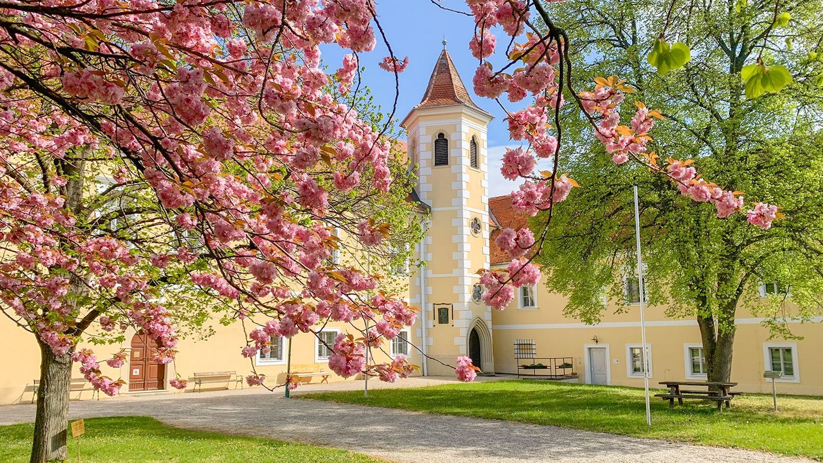 Zehn Highlights – Serenadenkonzerte starten Ende August