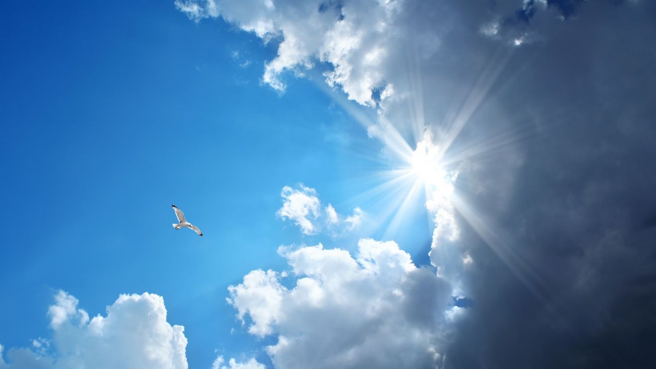 Heute.at - 34 Grad! Dann peitscht Kaltfront Gewitter ins Land