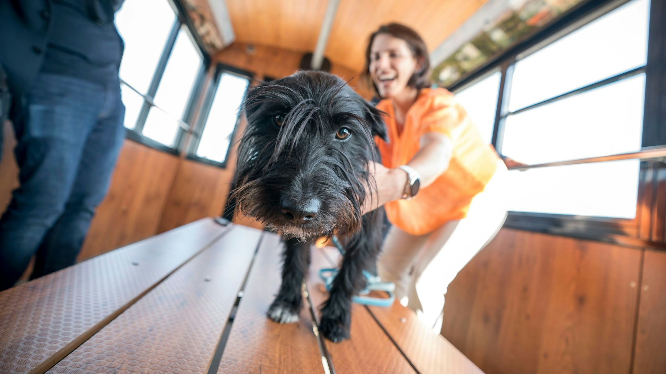 Hund geht immer: Verfassungsministerin Karoline Edtstadler mit ihrem Struppi im Riesenrad