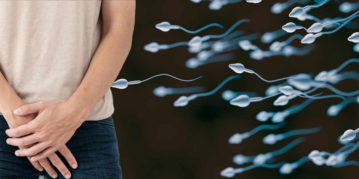 Männer mit Hochrisiko-Typen hatten aufgrund von oxidativem Stress und einer geschwächten lokalen Immunreaktion im Urogenitaltrakt eine erhöhte Spermiensterblichkeit.