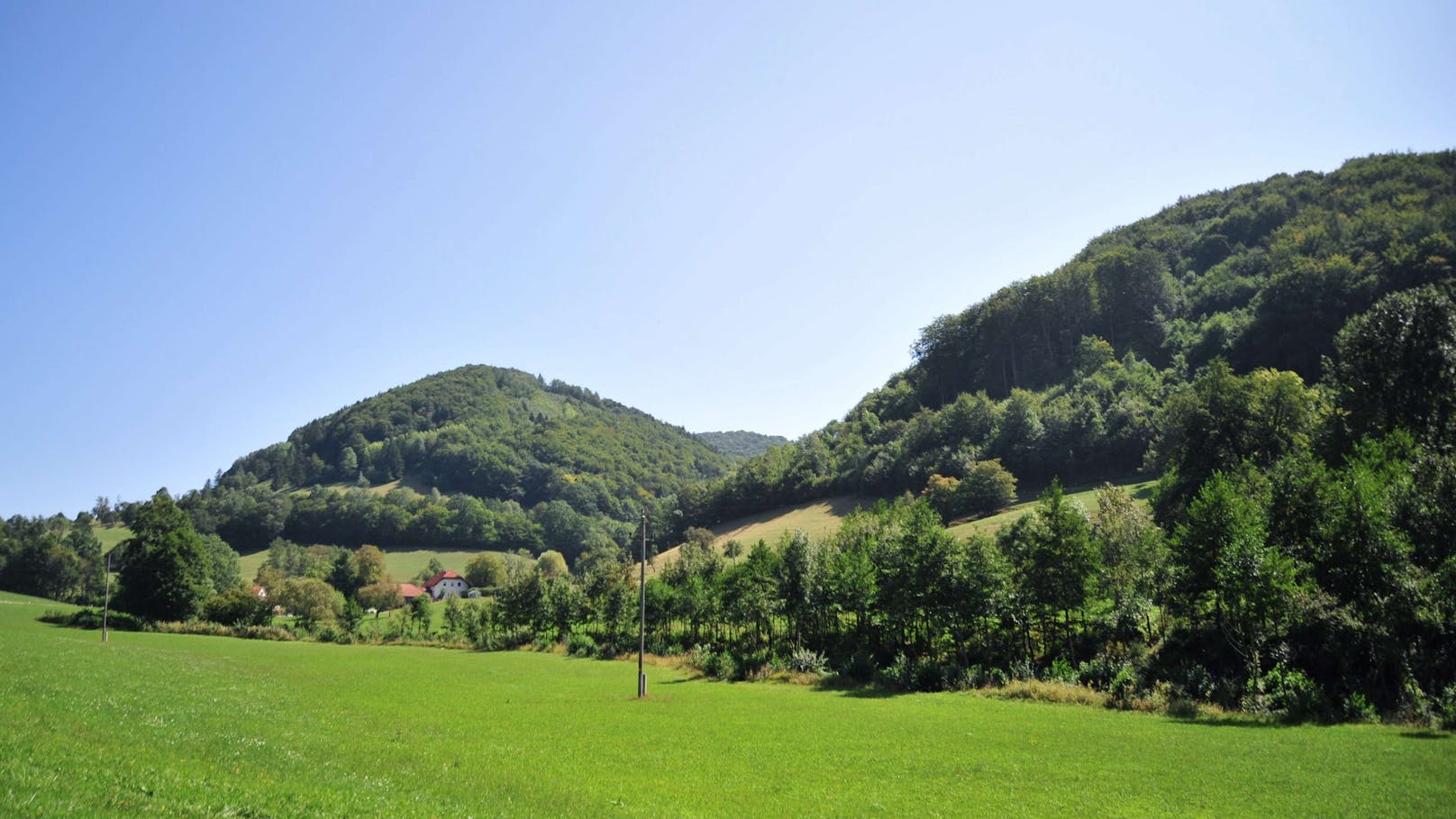 Anrainer hören mysteriöse Hilferufe aus einem Wald nahe Kettenreith (Gemeinde Kilb). Doch ein Rettungsversuch bleibt bislang erfolglos: Von der Person fehlt jede Spur.