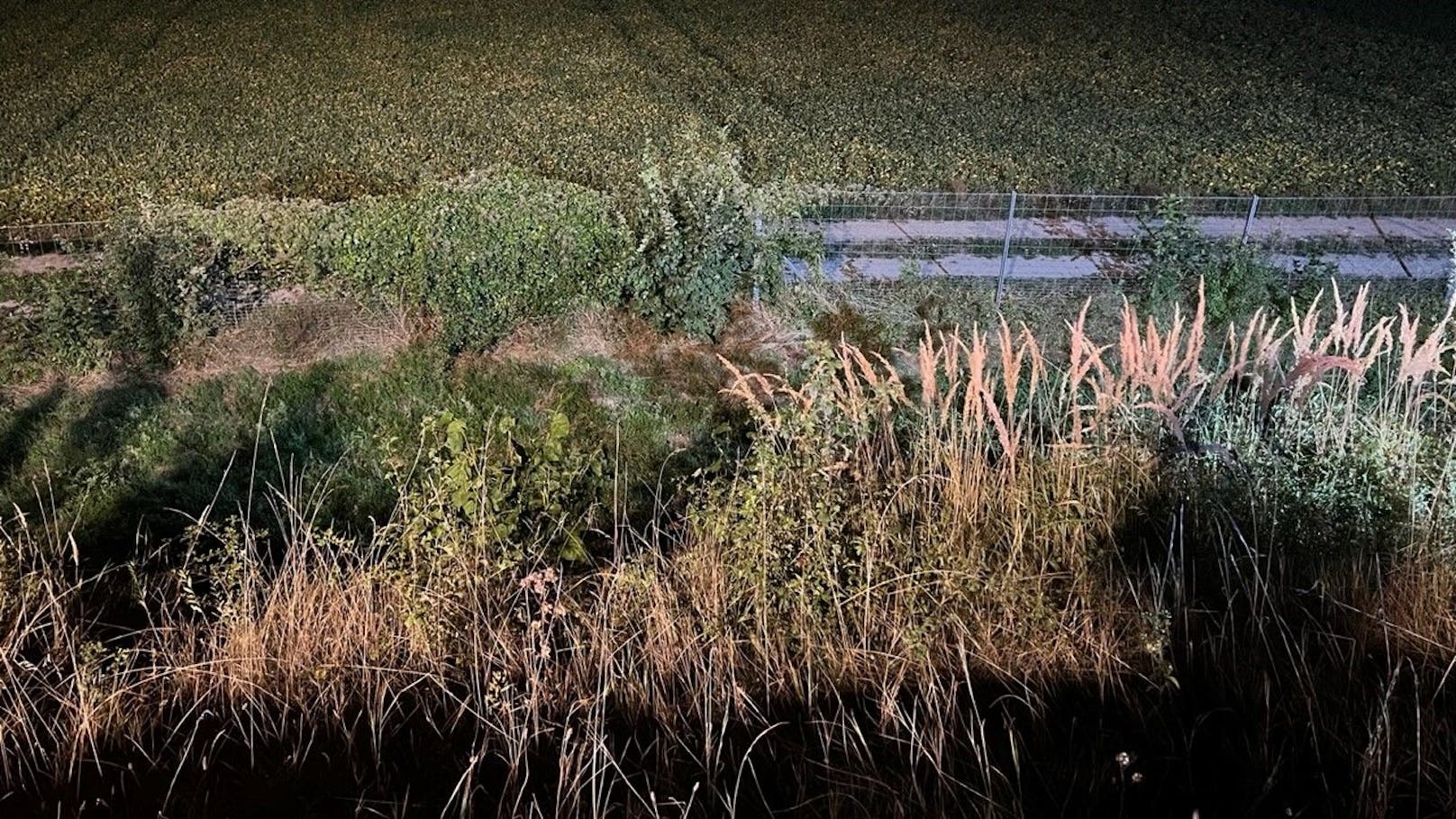 Bei der A3-Ausfahrt Pottendorf, Bezirk Baden, kam es am Abend des 24. August 2024 zu einem Motorradunfall mit tödlichem Ausgang.