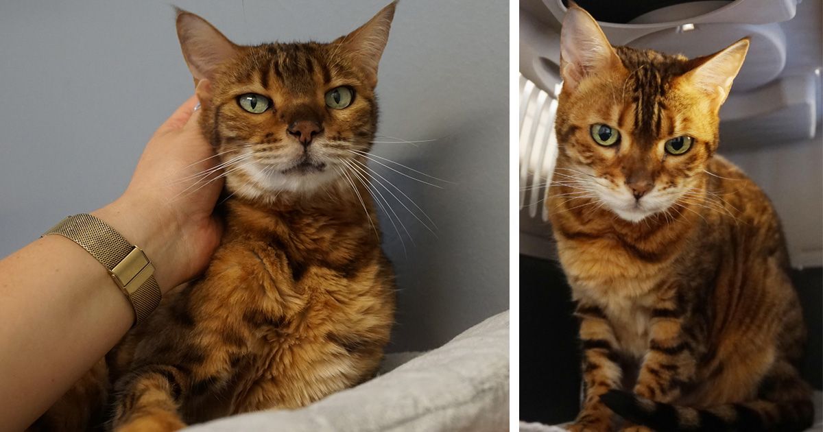 Besucht man Ayleen und Excalibur (6) in ihrem Zimmer, so fällt es nicht schwer, die beiden sofort ins Herz zu schließen.