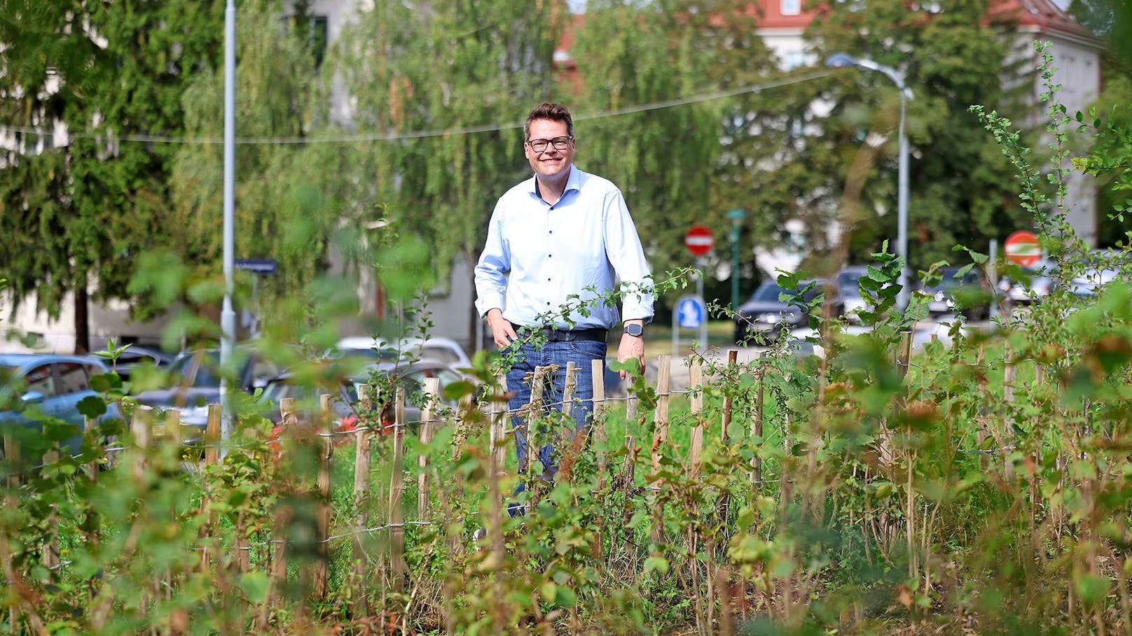 Kleine Wäldchen als große Stütze für ein cooles Wien