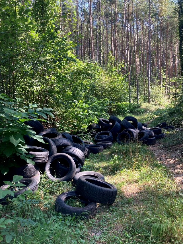In einem Waldgebiet bei Vöstenhof wurden Reifen illegal entsorgt. Die Polizei sucht nach Zeugen und bittet um Hinweise