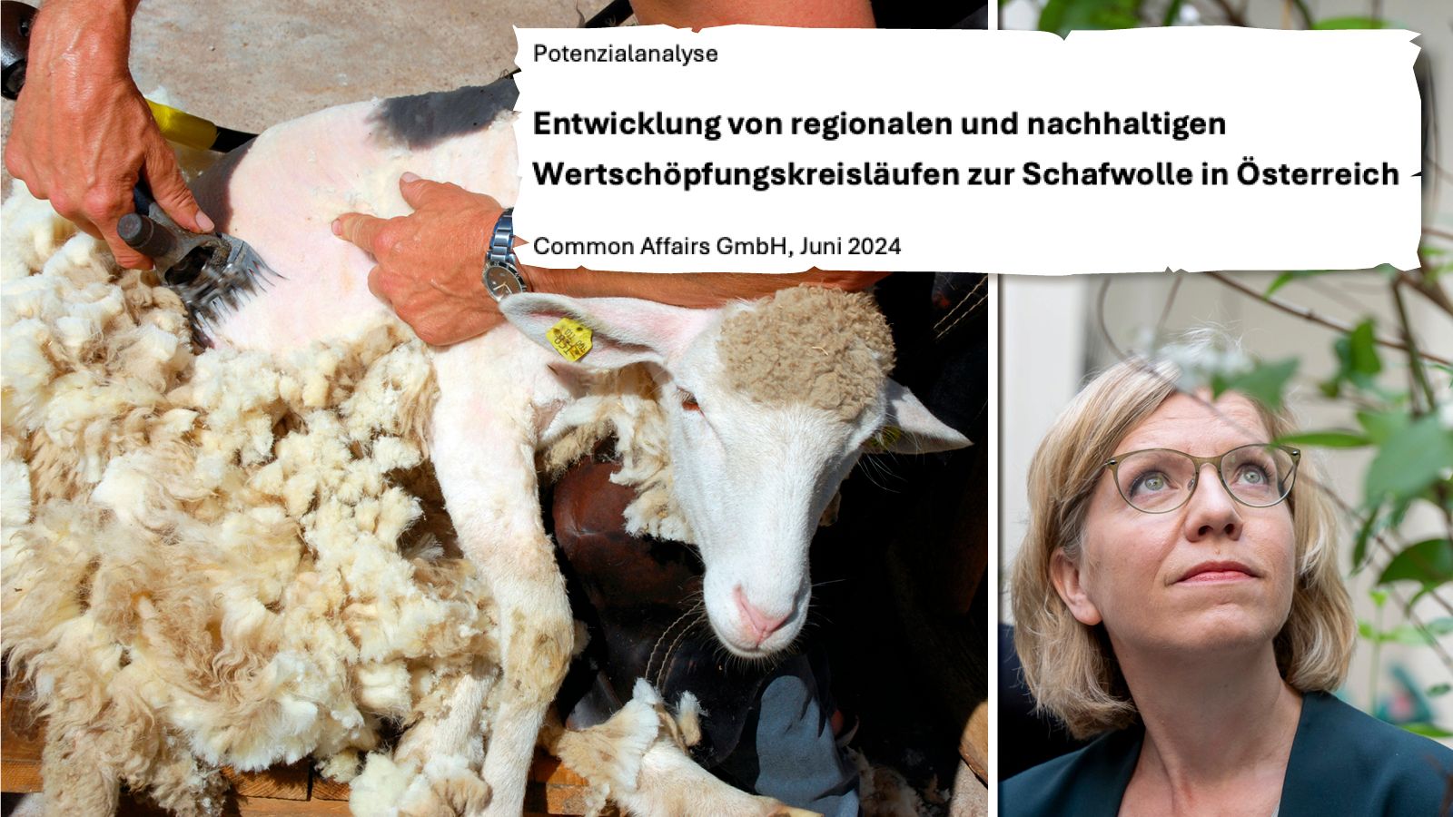 Klimaministerin Leonore Gewessler (Grüne) ließ das 