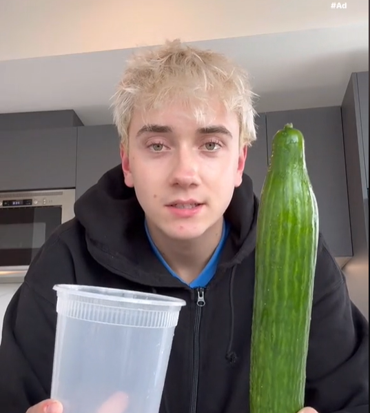 TikToker <strong>Logan Moffitt</strong> zeigt in zig Videos, wie sich eine ganze Gurke zubereiten lässt.