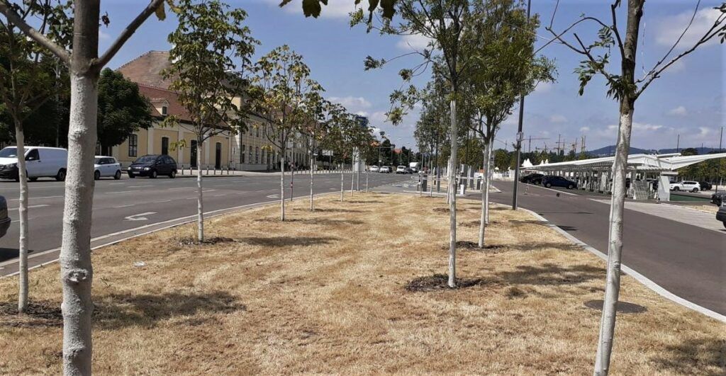 Baumsterben vor den Toren Schönbrunns sind laut APCOA Einzelfälle