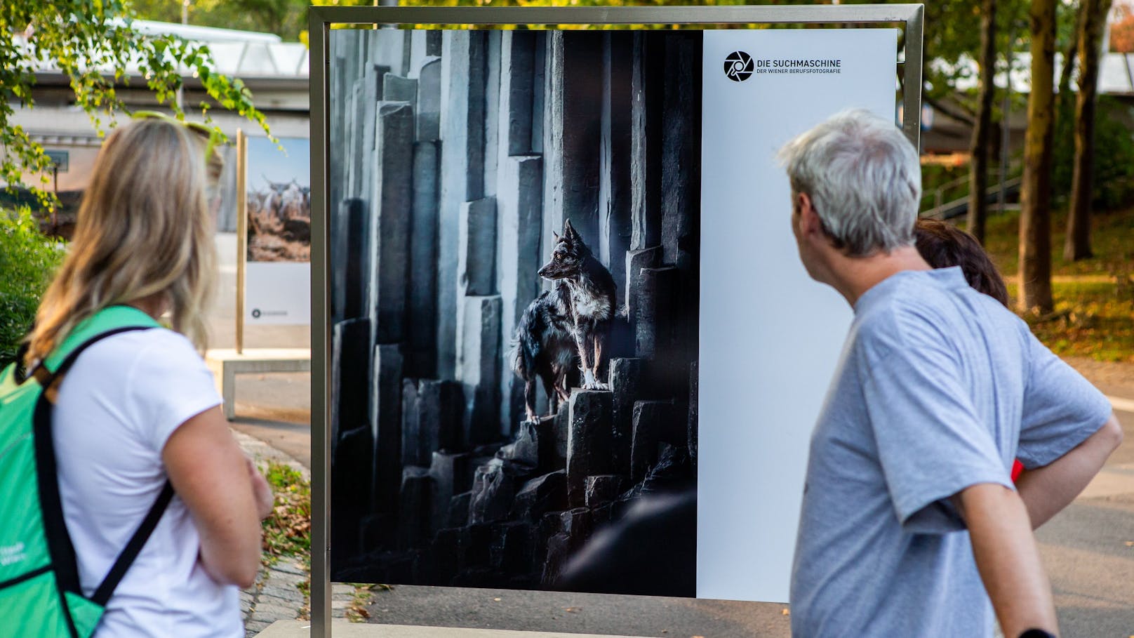 Die Bilder wurden vorab von einer fachkundigen Jury ausgewählt.