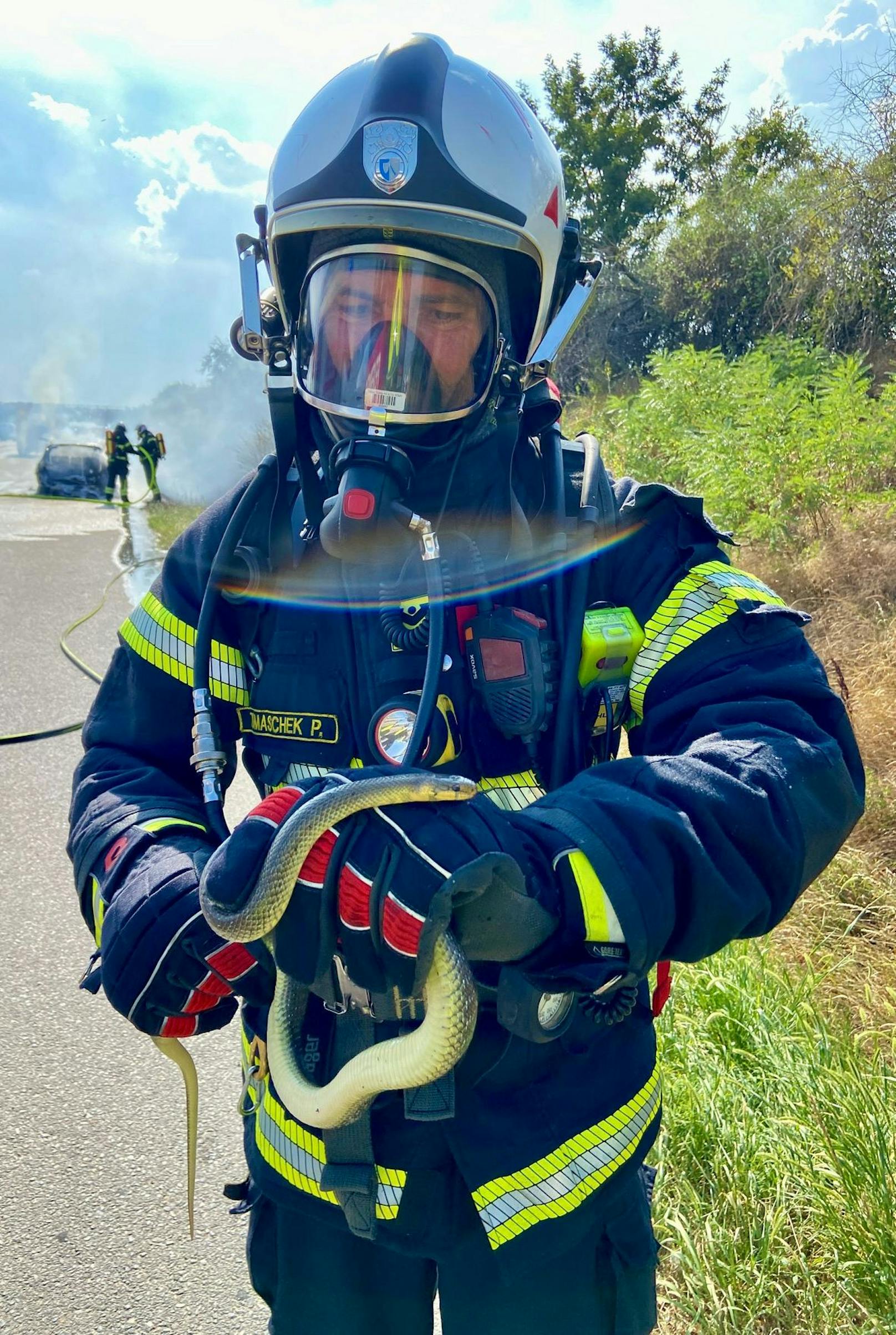 Während der Löscharbeiten gelang es den Feuerwehrleuten, eine heimische Schlange aus dem Gefahrenbereich zu retten und sie sicher auf einem angrenzenden Feld freizulassen.