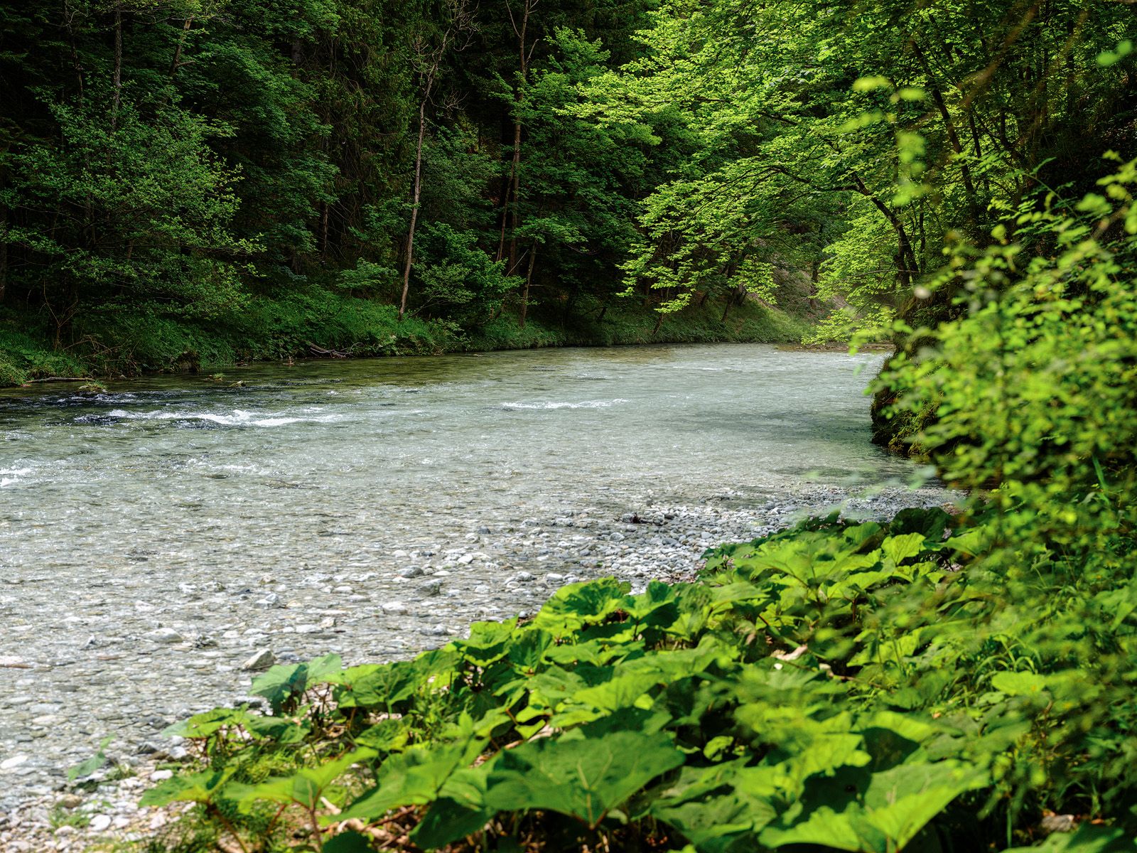 Kostbares Gut: Wasser in Österreich.