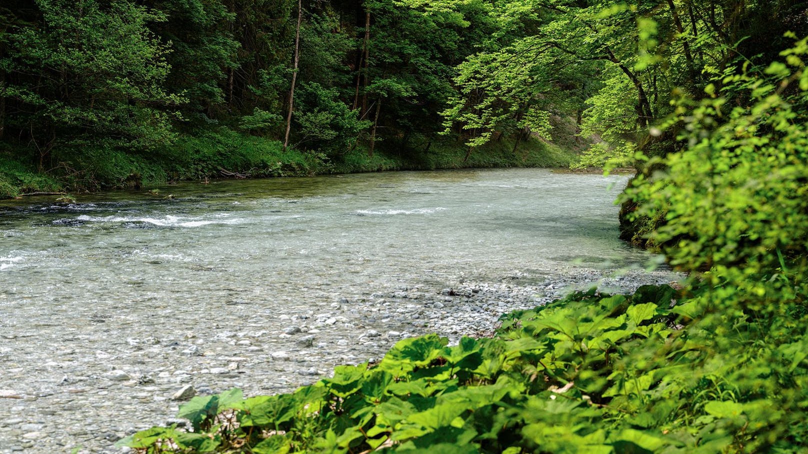 Wer fürs wertvolle Wasser in Österreich bezahlen soll