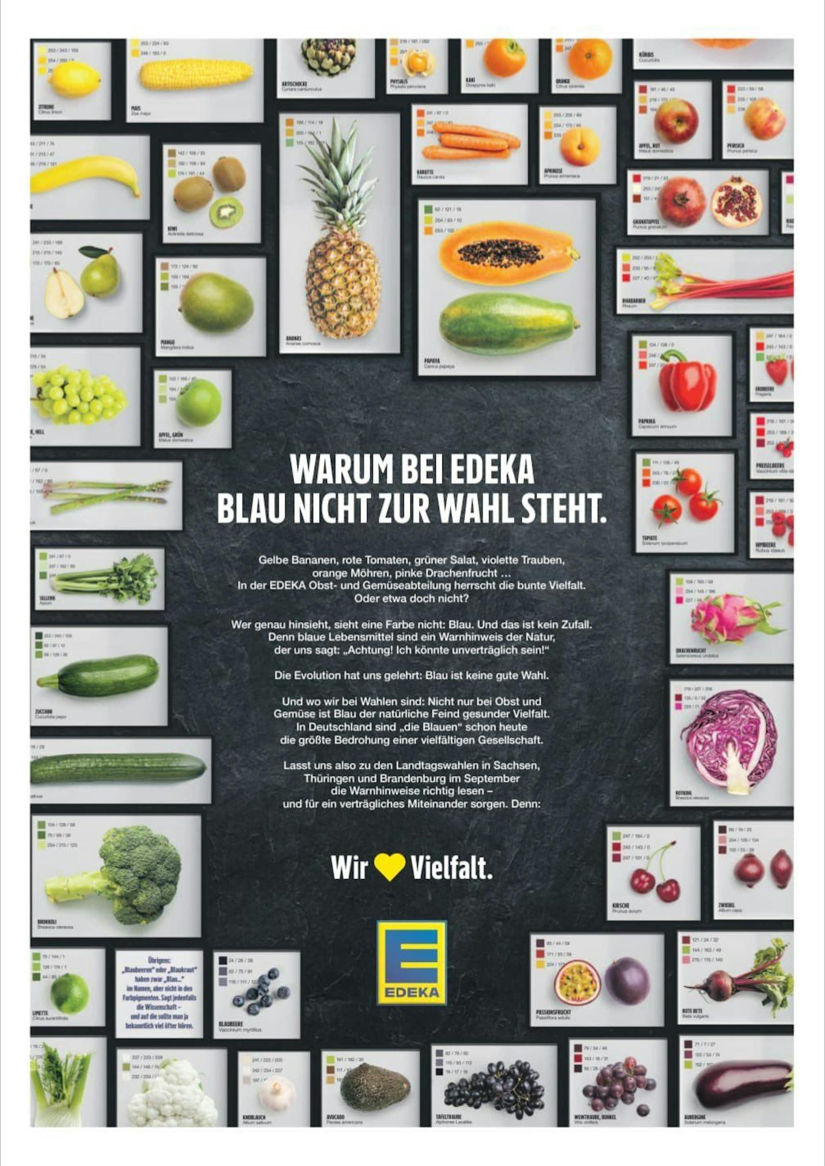 "Warum bei Edeka Blau nicht zur Wahl steht": Dieses <a data-li-document-ref="120056004" href="https://www.heute.at/s/edeka-warnt-alle-kunden-blau-ist-keine-gute-wahl-120056004">Inserat von Edeka</a> war am Donnerstag in "Die Zeit" und der FAZ zu sehen.