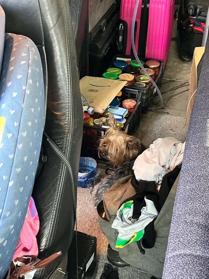 Dieser kleine Hund war in dem Hitze-Auto gefangen.