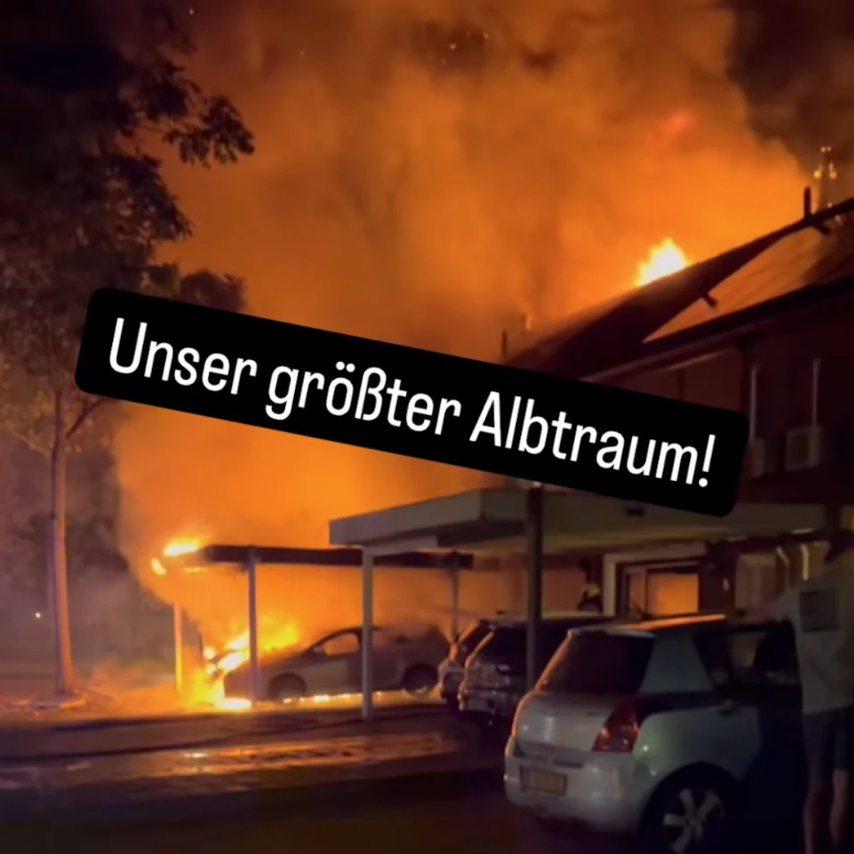 Mola zeigt seinen Fans, was vor seiner Haustür passiert. 