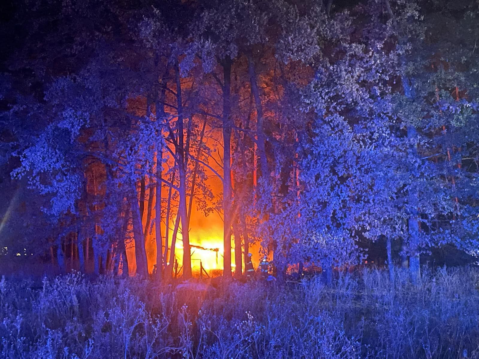 Die Hütte brannte vollständig ab.
