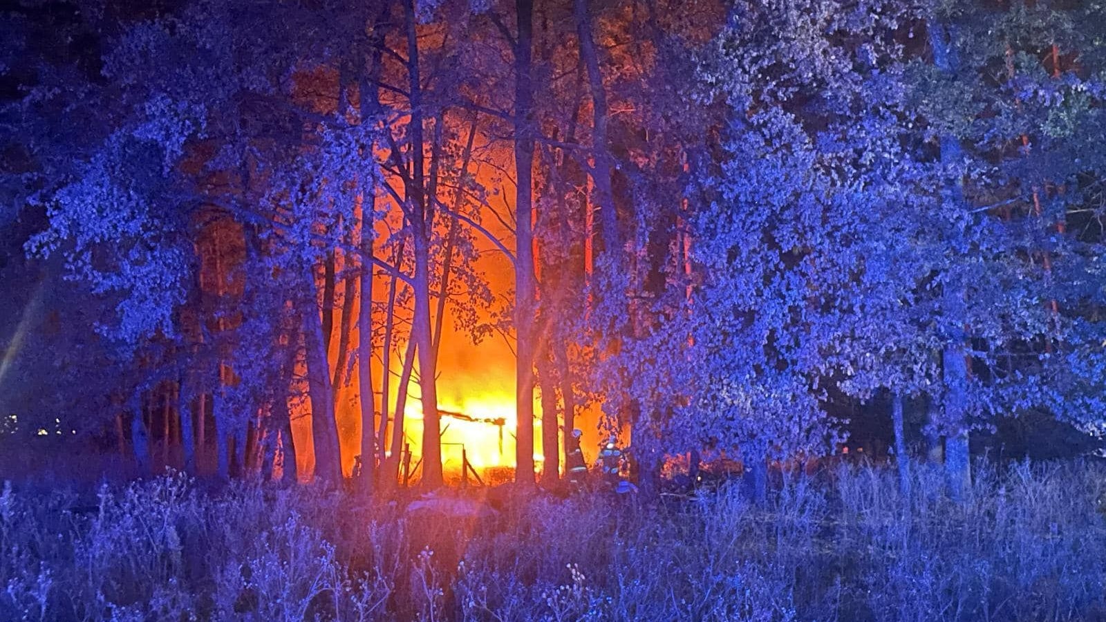 Die Hütte brannte vollständig ab.