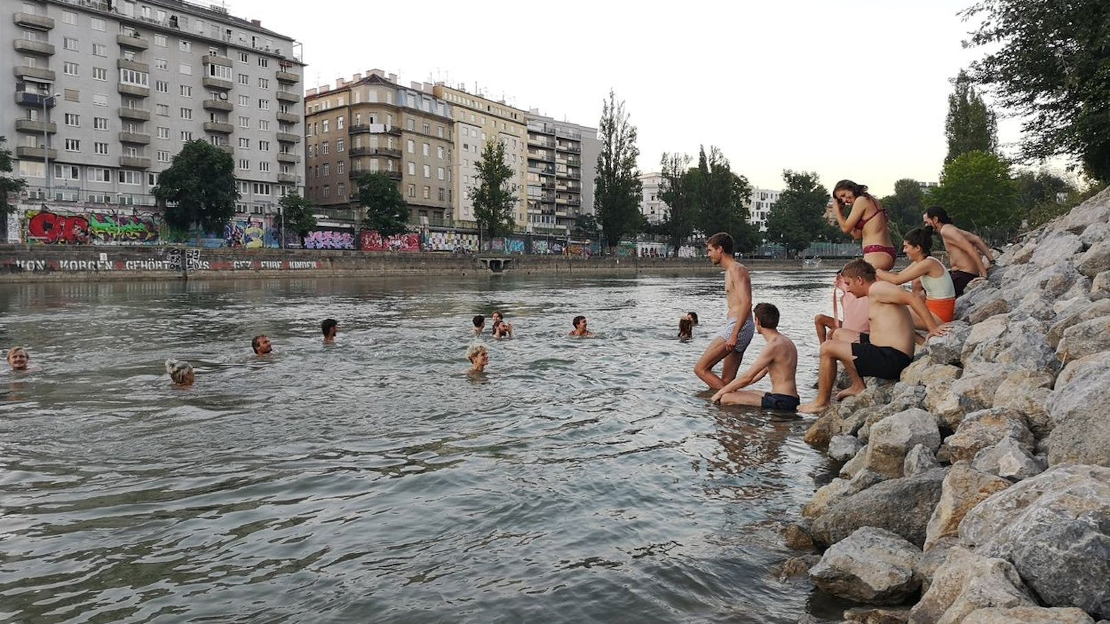 Das Wasser ist so grün und gut wie in der Donau bei der Insel.