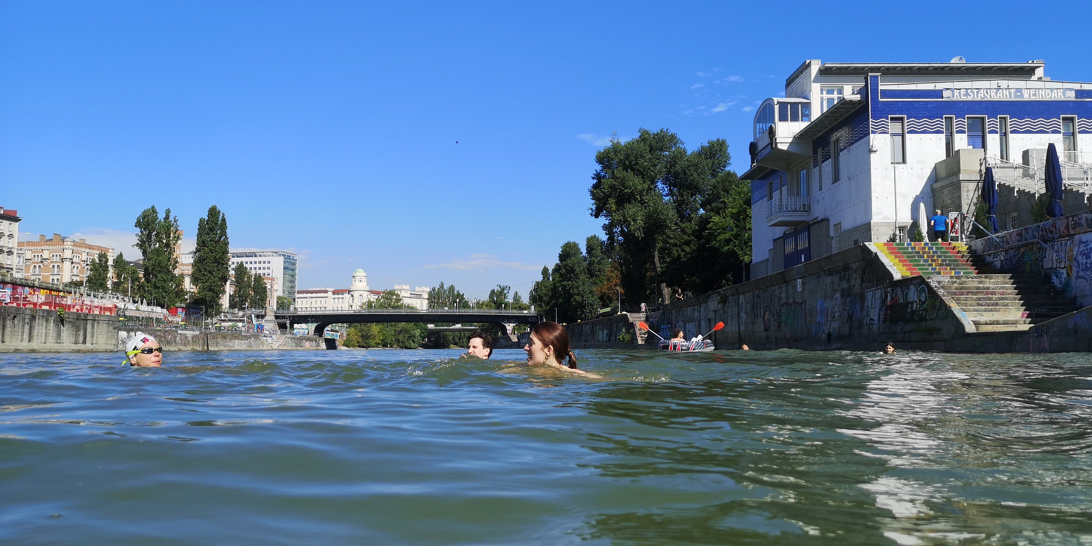 Badefreunde beschwimmen den Donaukanal