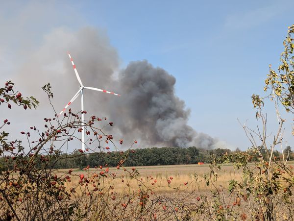 Großbrand in Gänserndorf - Aktuell 21 Feuerwehren im Einsatz