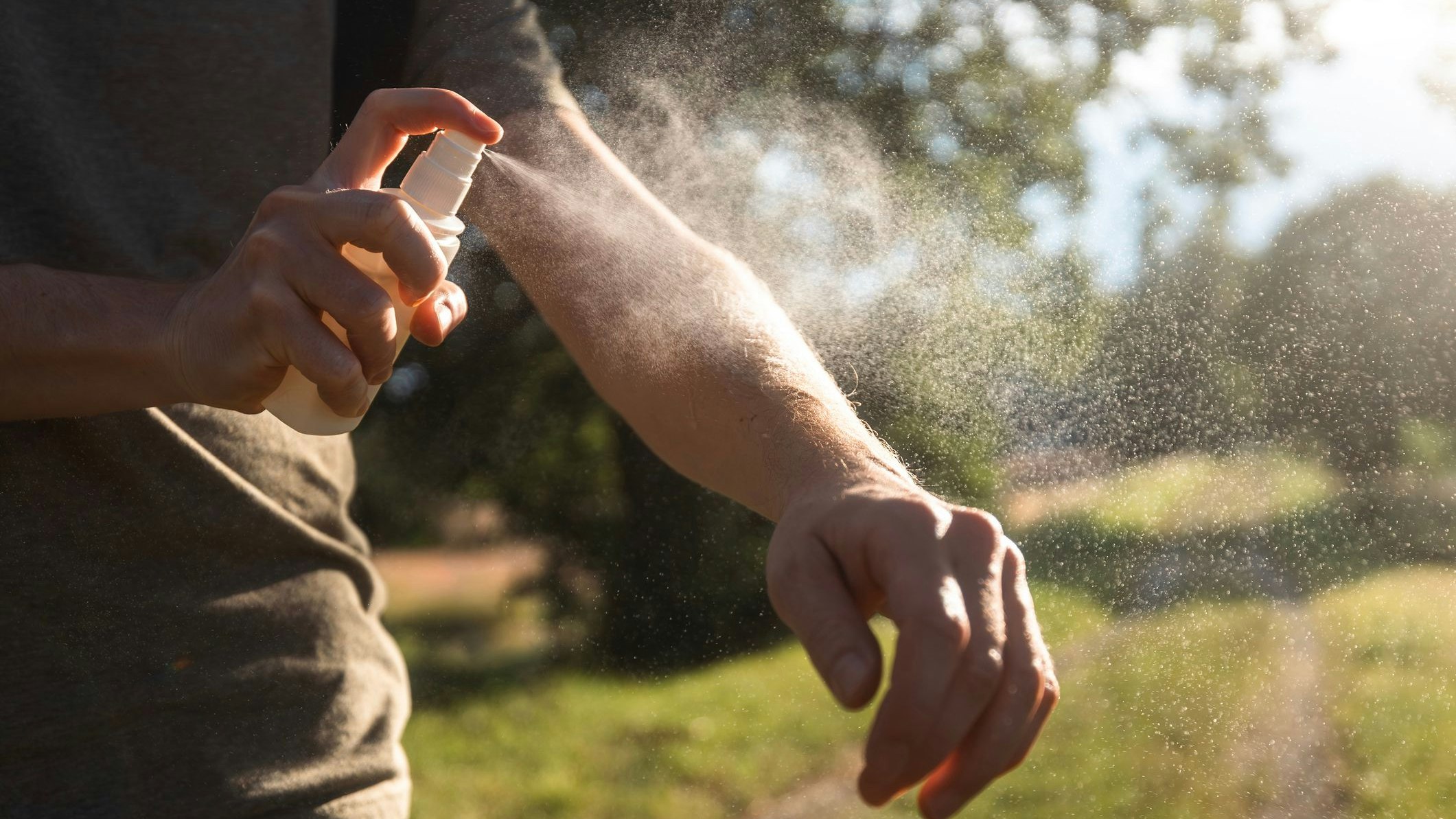 Insektensprays, langärmelige Kleidung und Fliegengitter vor den fenstern gehören zu den effektivsten Schutzmaßnahmen gegen die Überträger des West-Nil-Virus