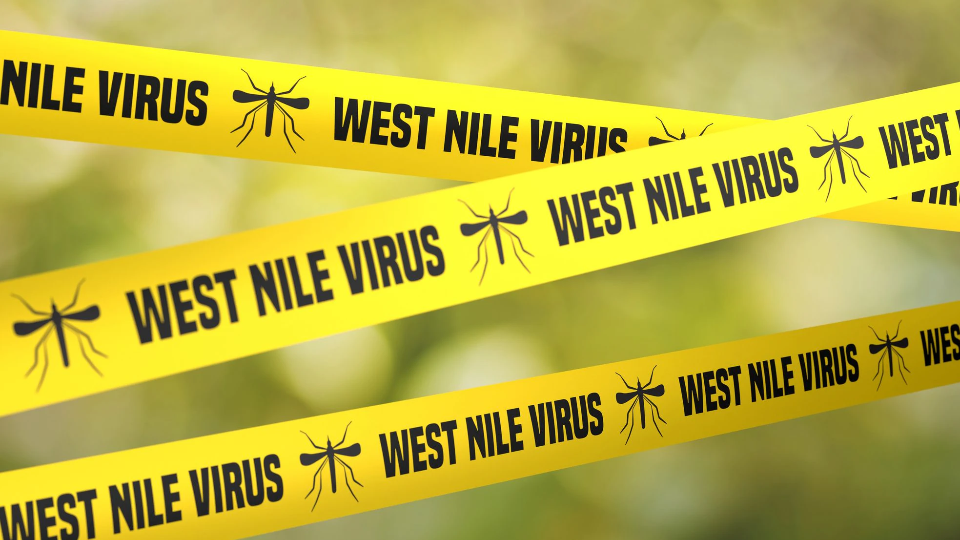 Das Virus ist vor allem für Pferde gefährlich