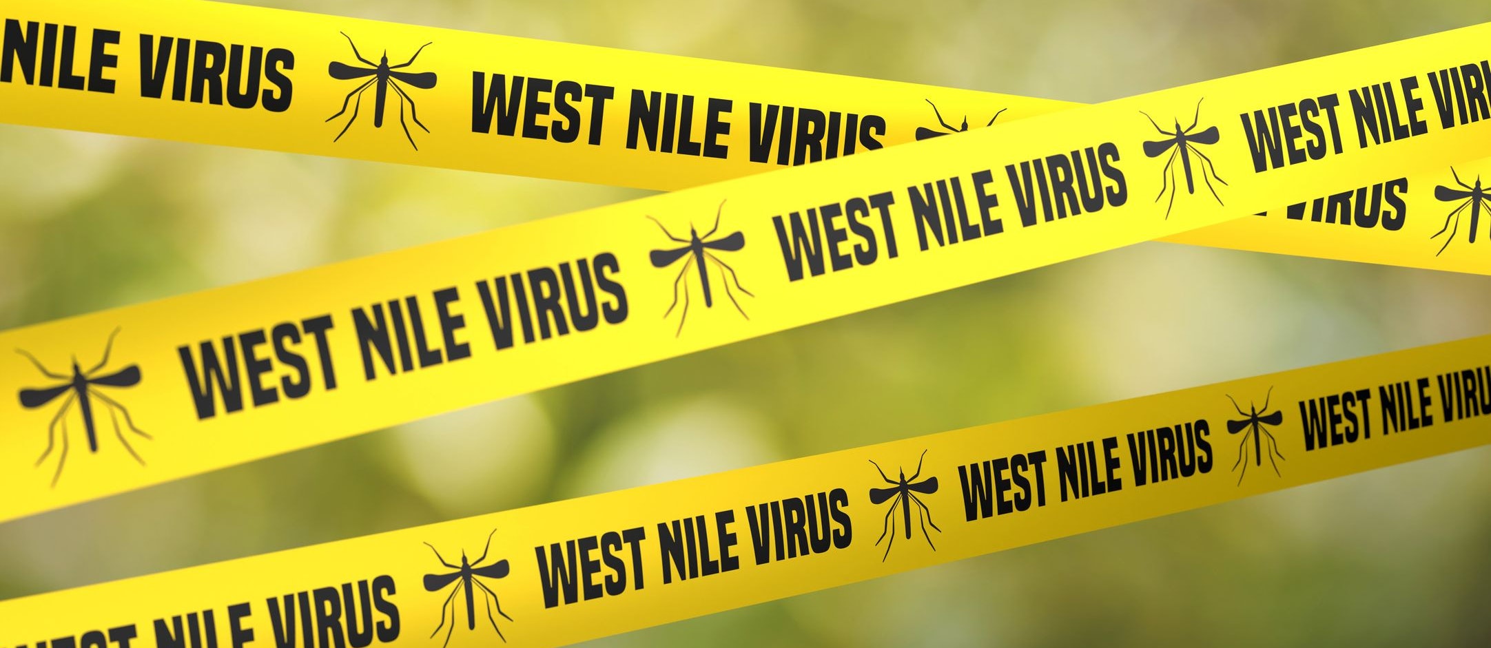 Absperrband mit West-Nil-Virus-Warnung: Das potenziell tödliche Virus ist heute in zwei Drittel der Welt verbreitet