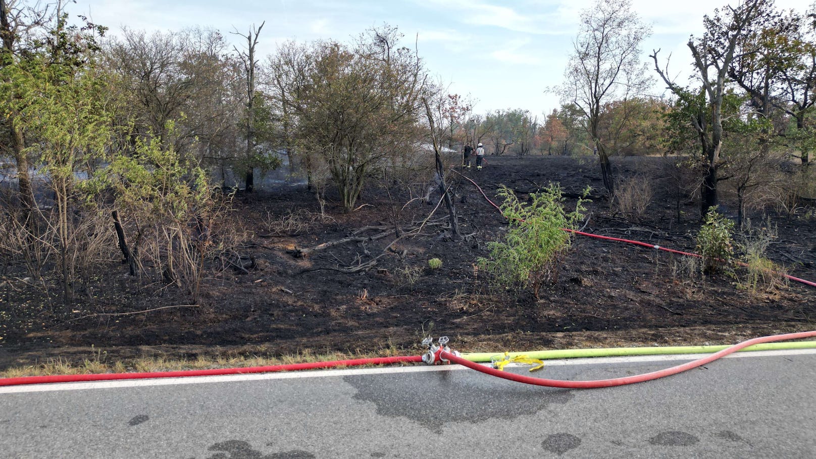 Ein großer Waldbrand wütete in Gänserndorf-Süd.