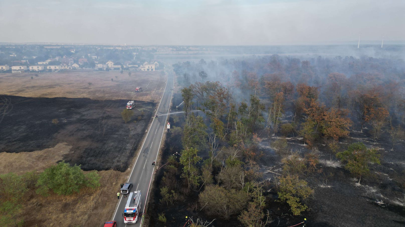 Zum Höhepunkt kämpften 235 Einsatzkräfte von 34 Feuerwehren gegen das Feuer.