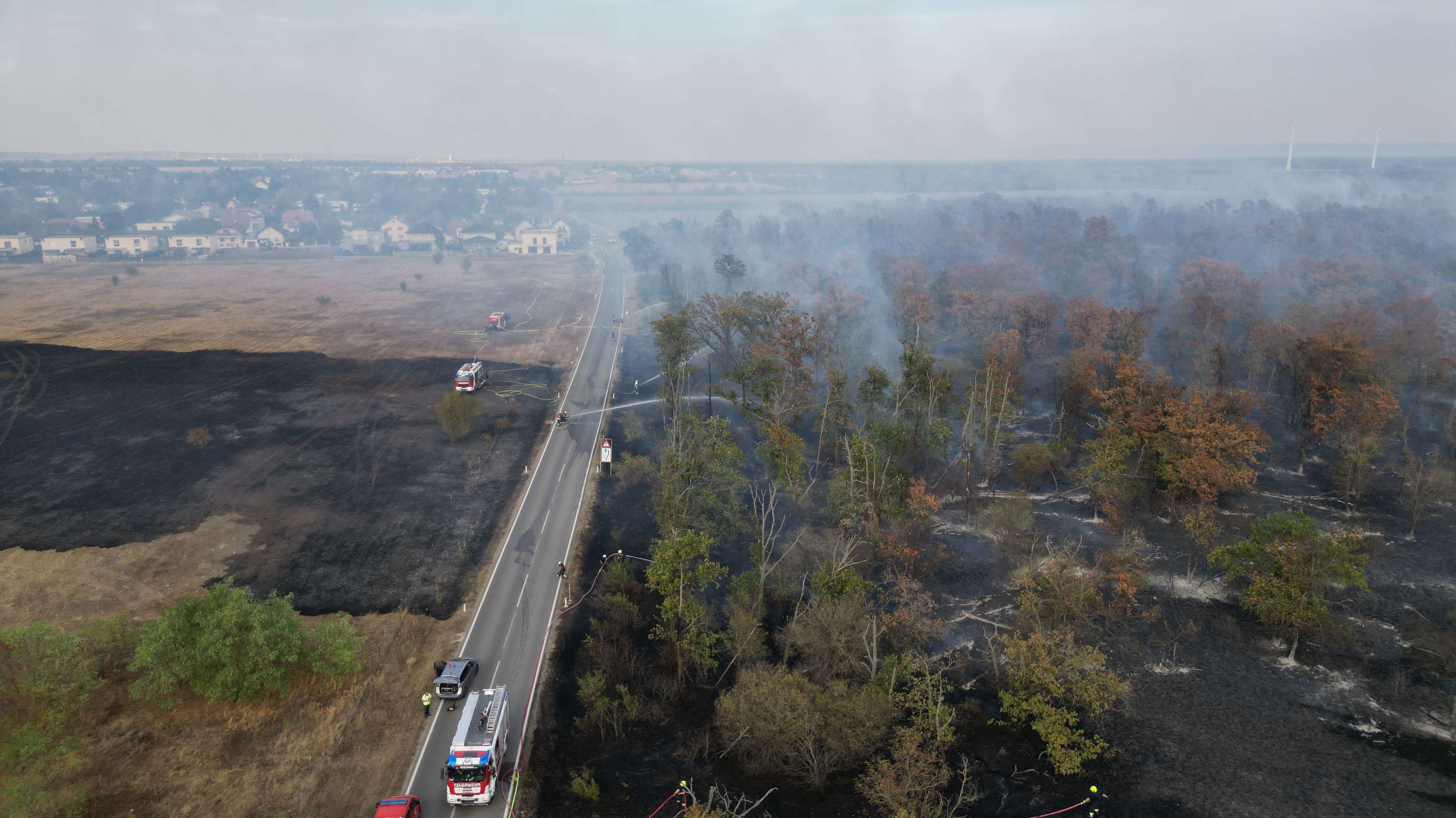 Großer Waldbrand wütete in Gänserndorf-Süd