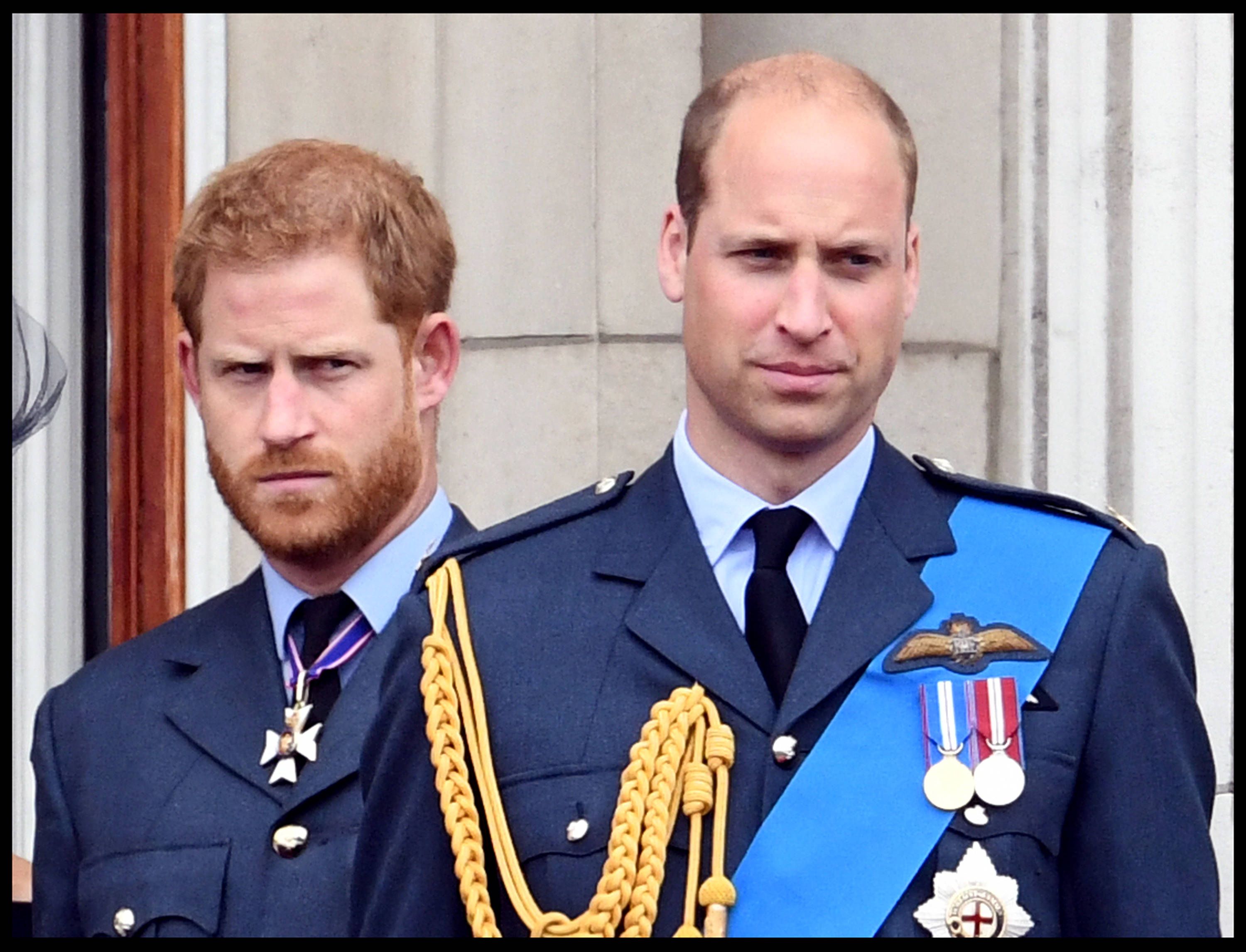 Harry und William haben keine leichte Beziehung.