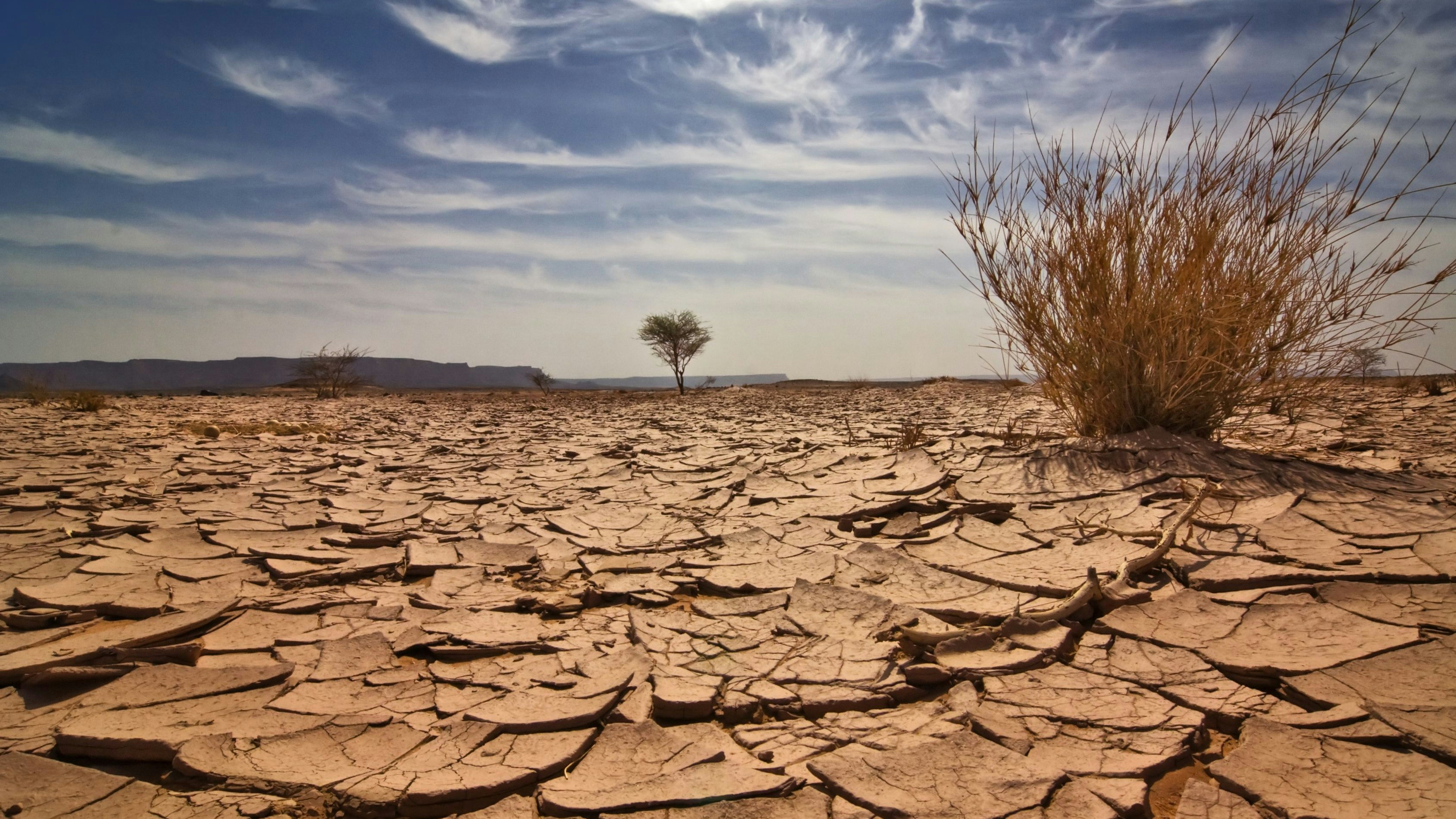 Wassermangel, Ernteausfälle: Der ganze Süden Afrikas leidet unter einer monatelangen Dürreperiode