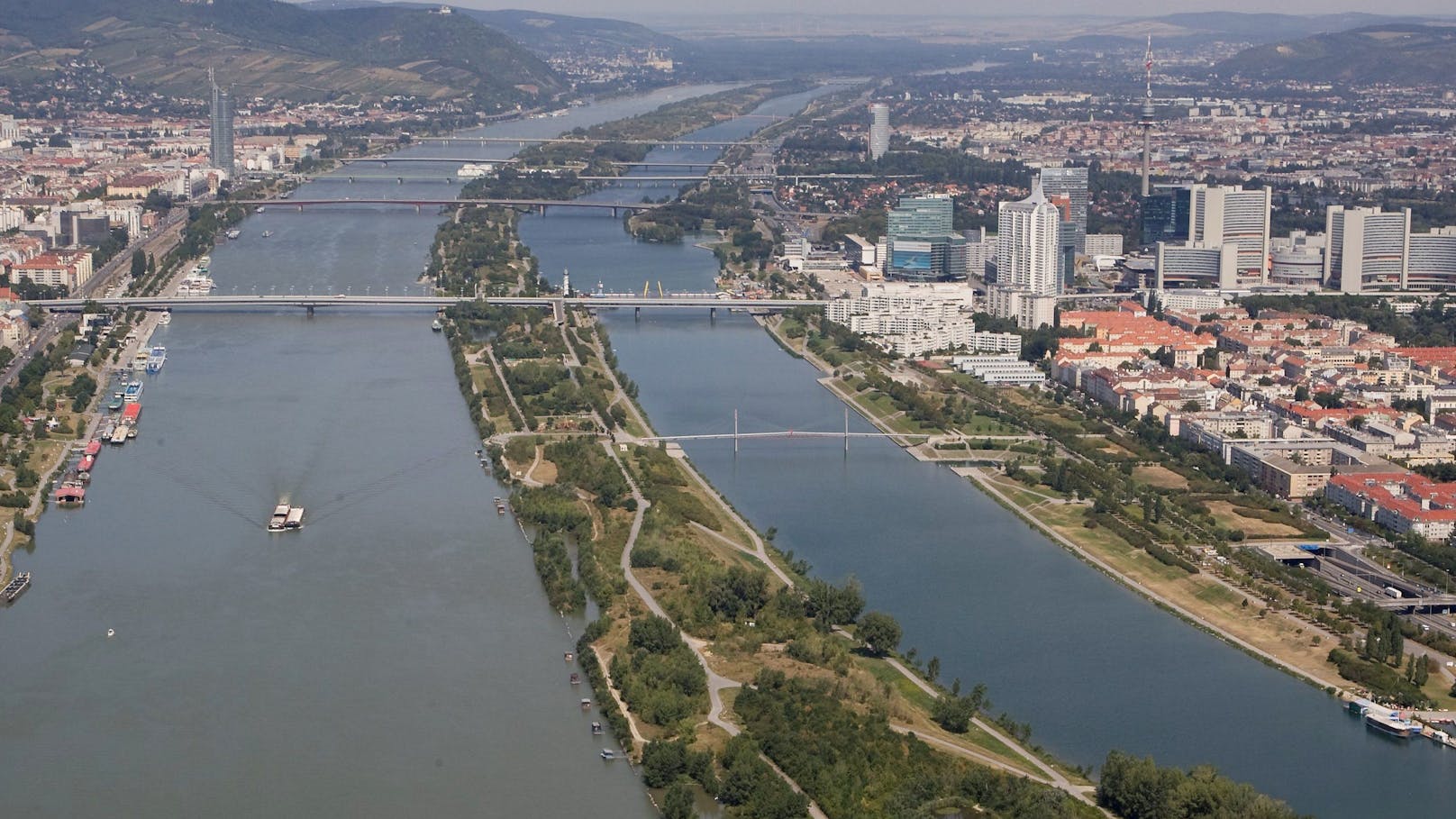 Im Bereich der Donauinsel finden sich laut den Forschern kaum Tiere.