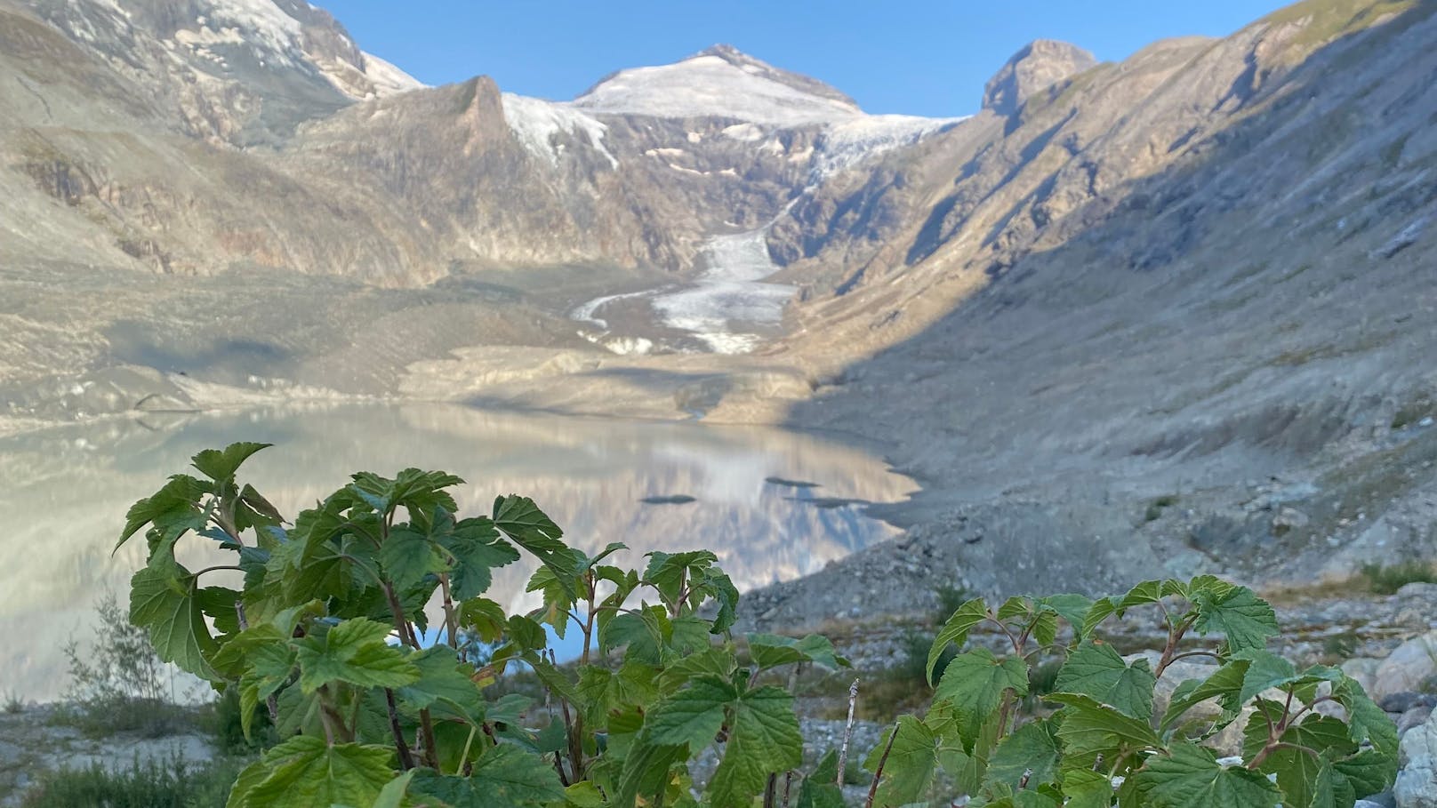 <strong>Klimawandel an der Pasterze:</strong> Wo sich vor nicht langer Zeit noch Eismassen türmten, grünt es nun.