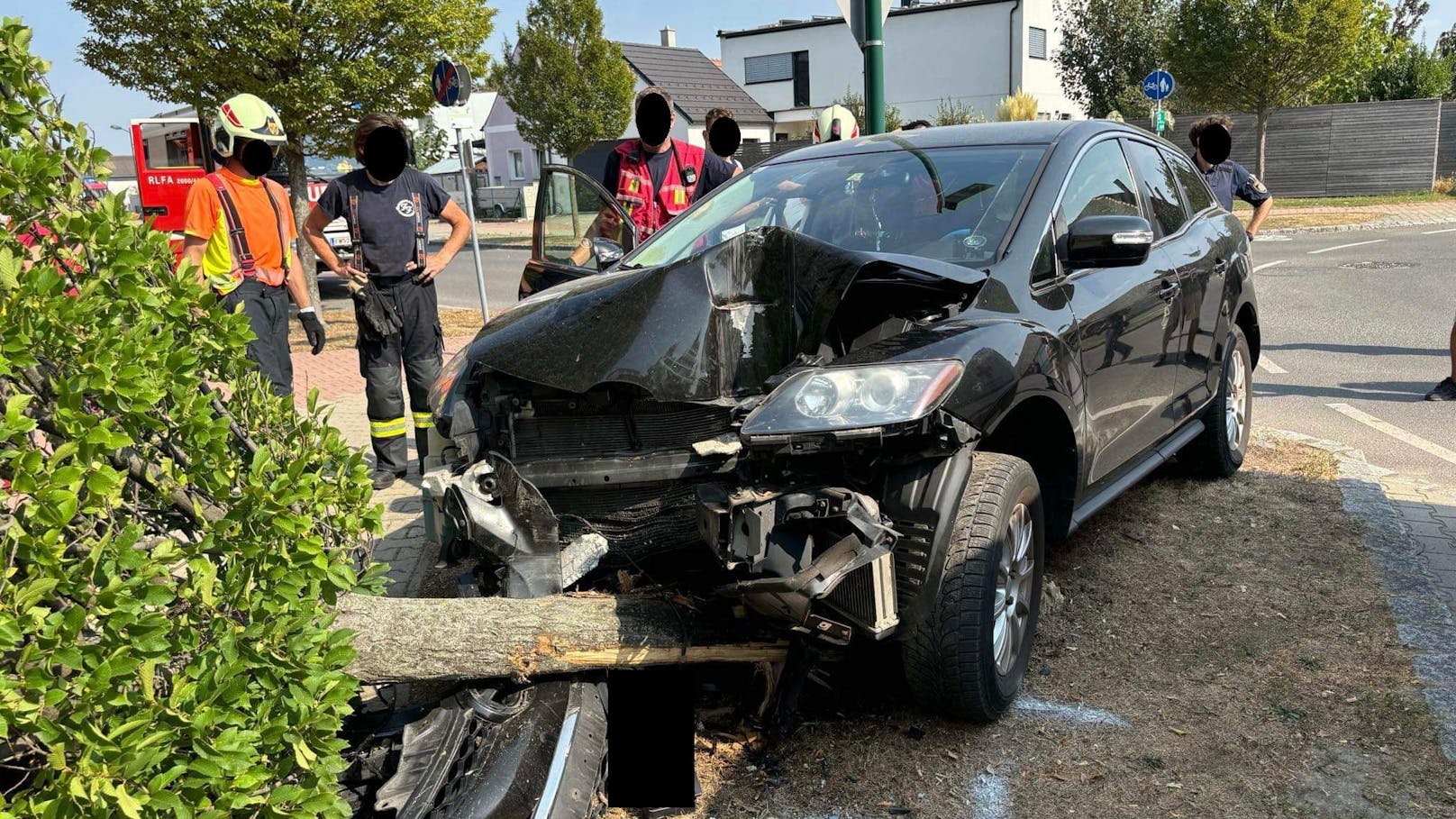 Alko-Lenker will Kind von Schule holen, donnert in Baum