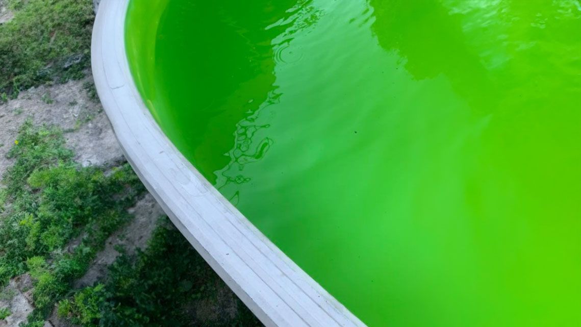 Die neue Donaubrücke färbte den Pool eines Linzer Ehepaares giftgrün.