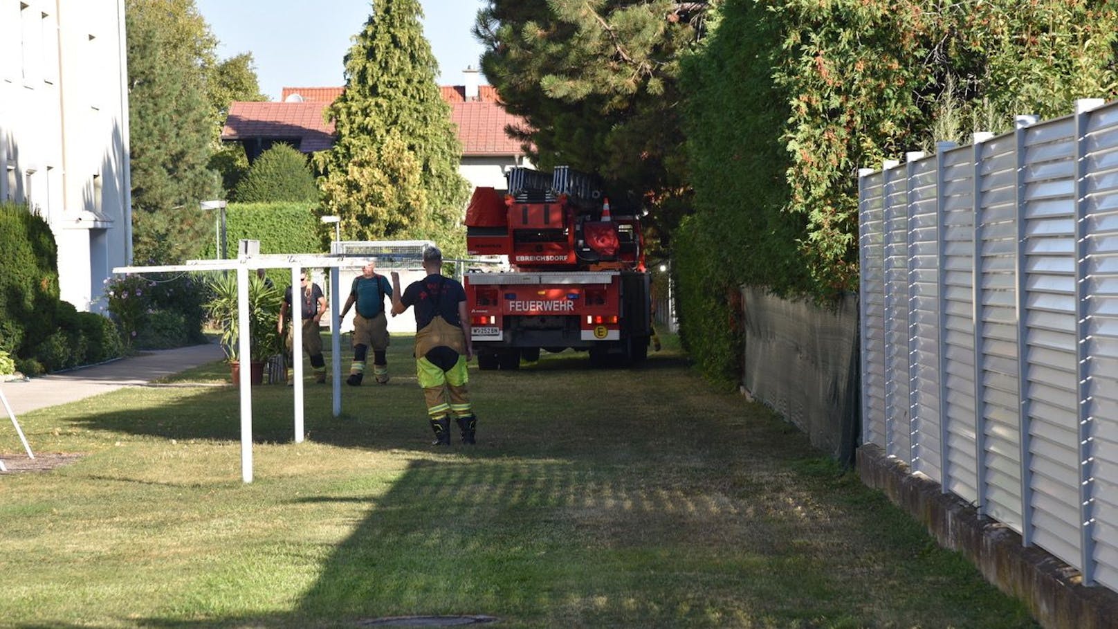 Feuerwehr rettet Vogel aus Dachrinne