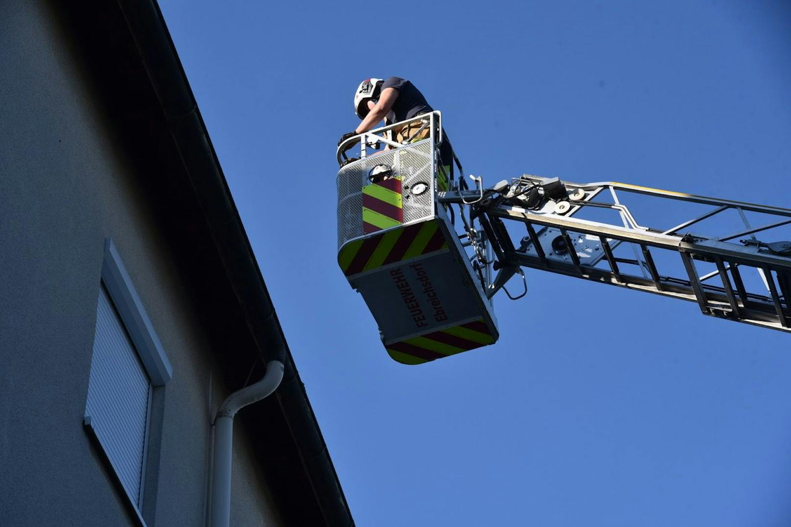 Feuerwehr rettet Vogel aus Dachrinne