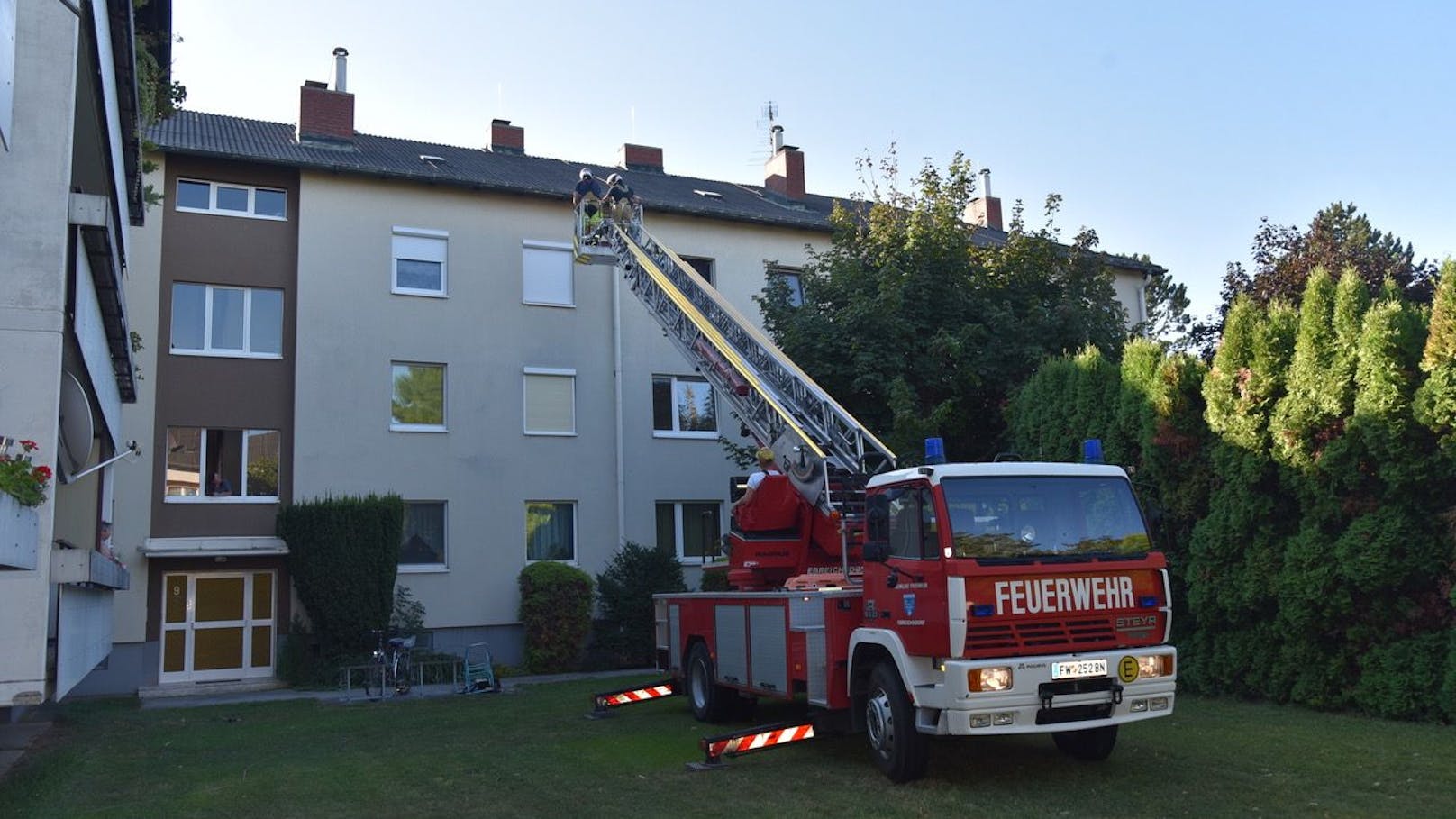 Feuerwehr rettet in Ebreichsdorf Vogel aus Dachrinne