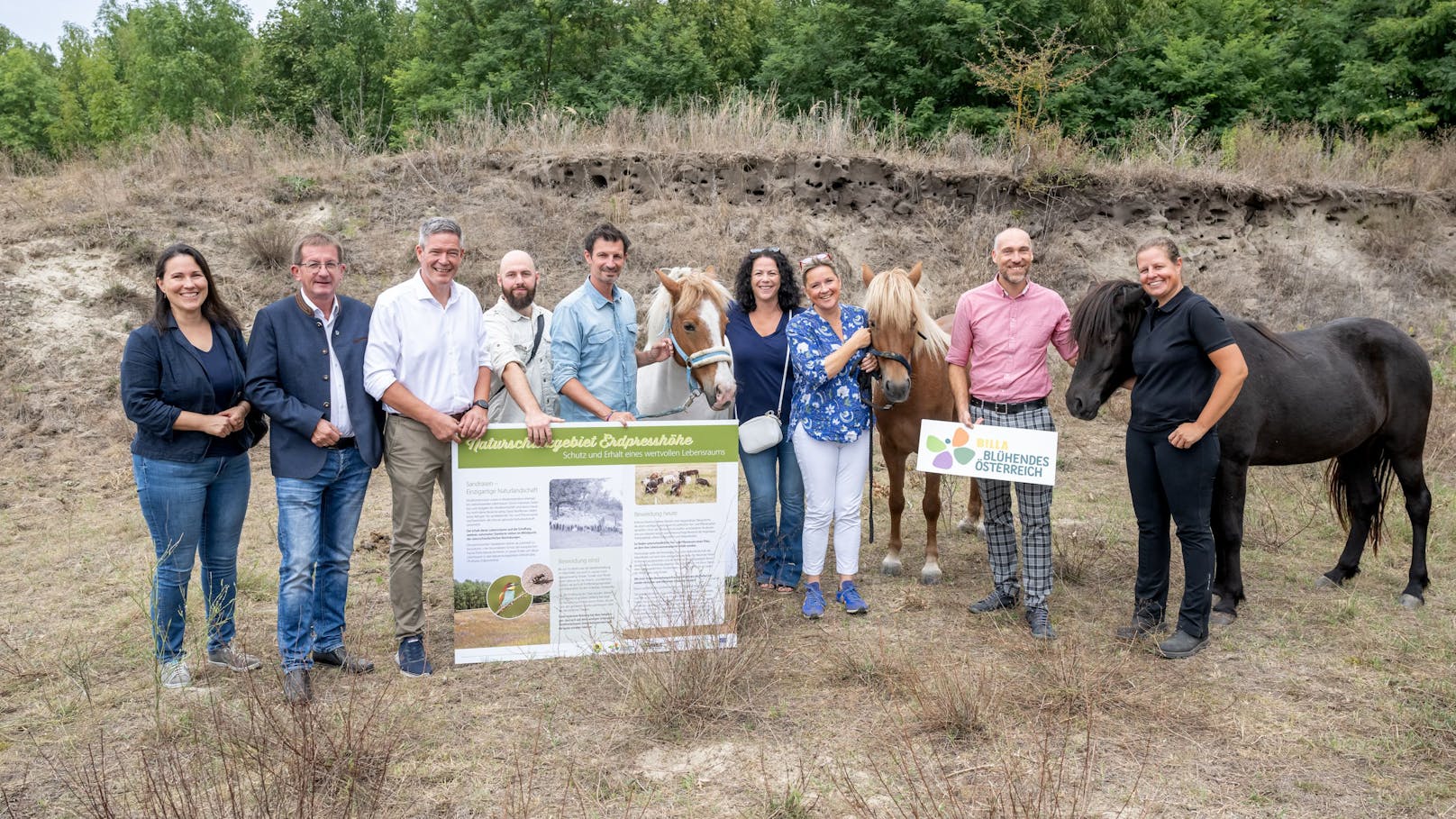 Die Pferde sollen die Sandsteppe vor "Verbuschung" bewahren.