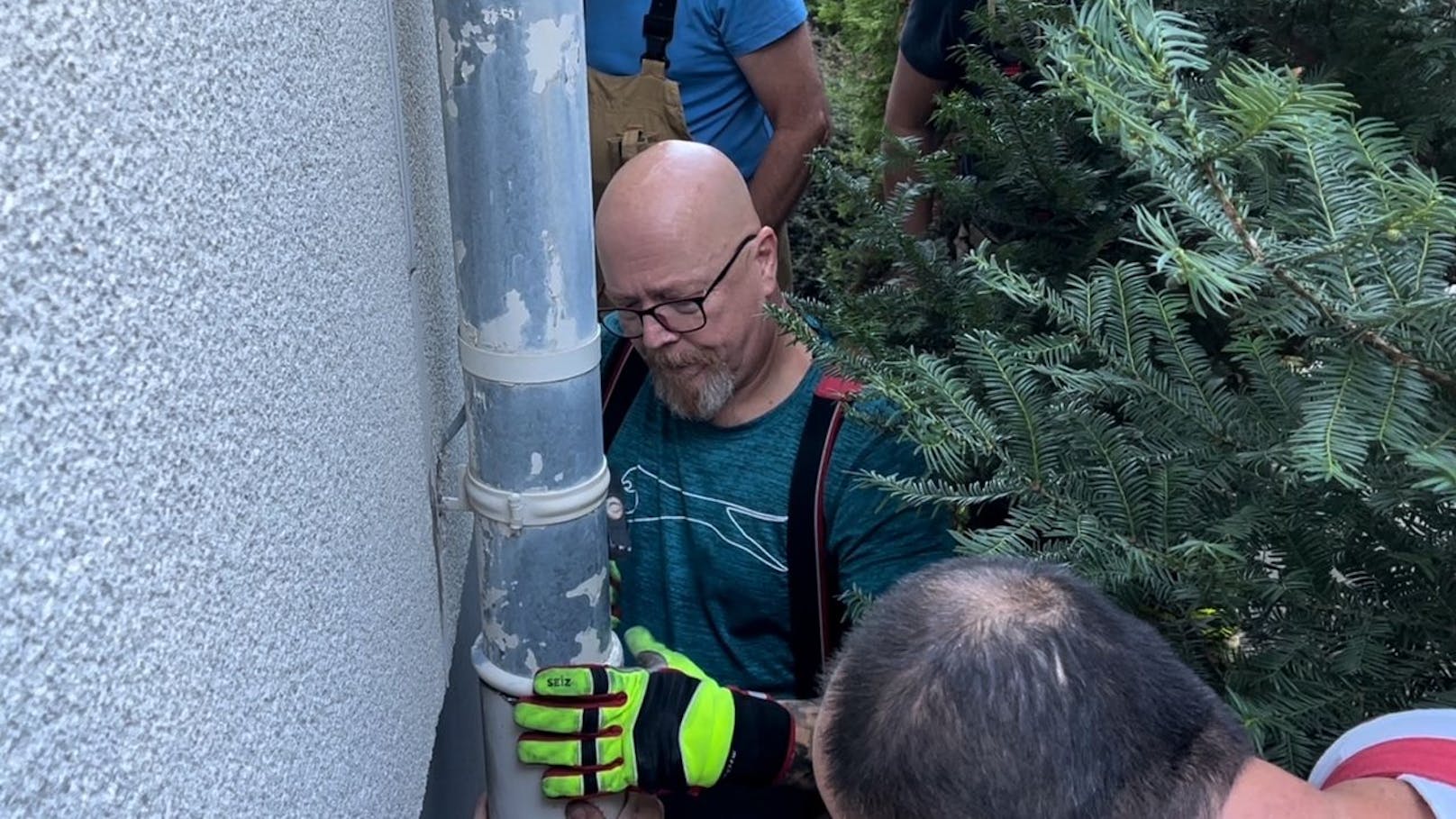 Feuerwehr rettet Vogel aus Dachrinne