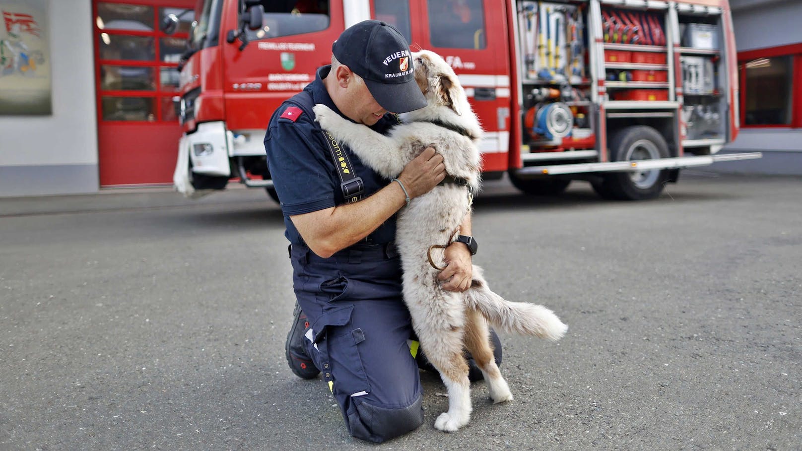 Der Welpe lässt die Herzen der Feuerwehrmänner höher schlagen.