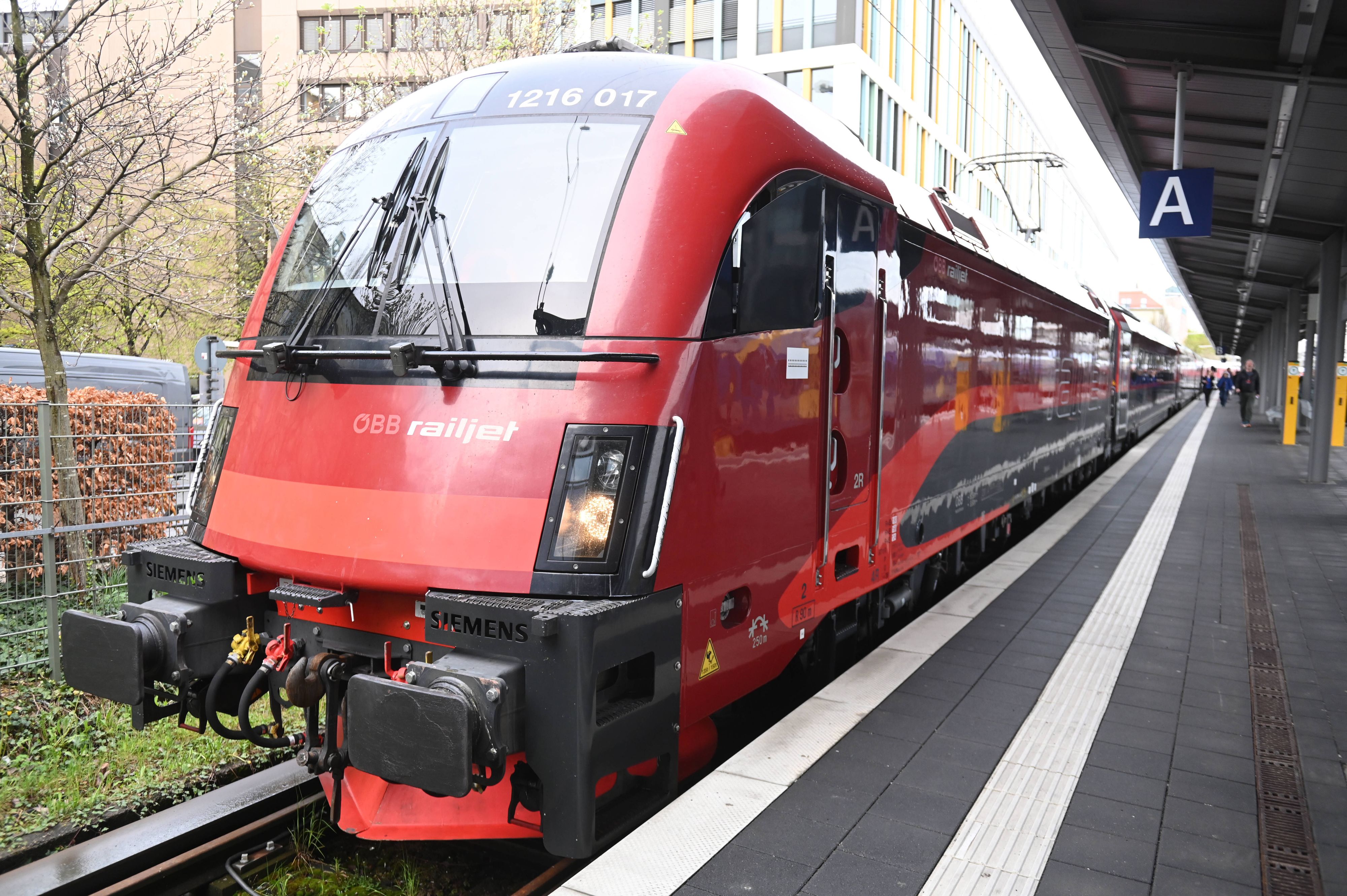 Beim Einstieg in den ÖBB-Railjet stach eine Wespe zu. (Symbolbild)